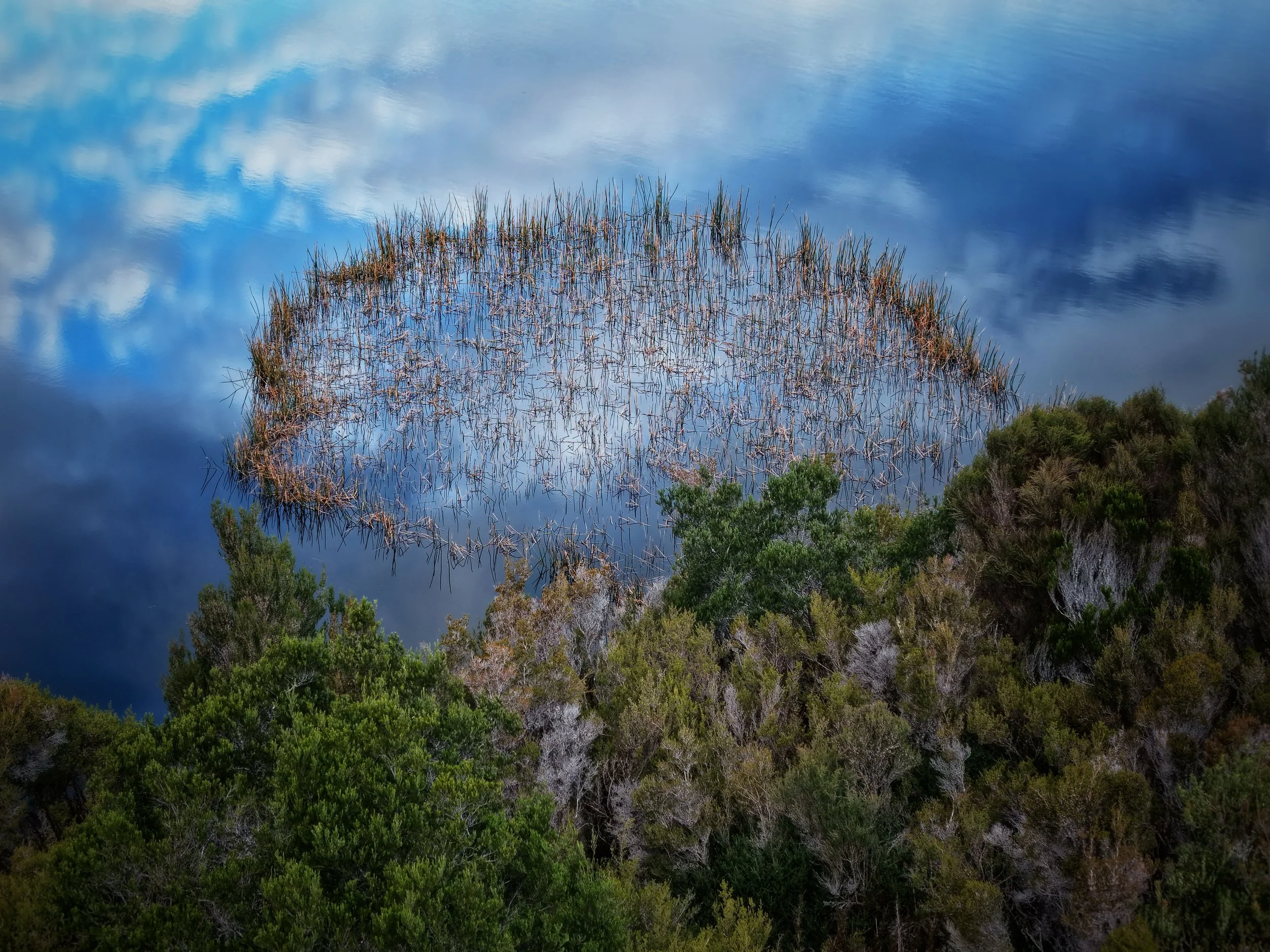 She blooms inside the water clouds