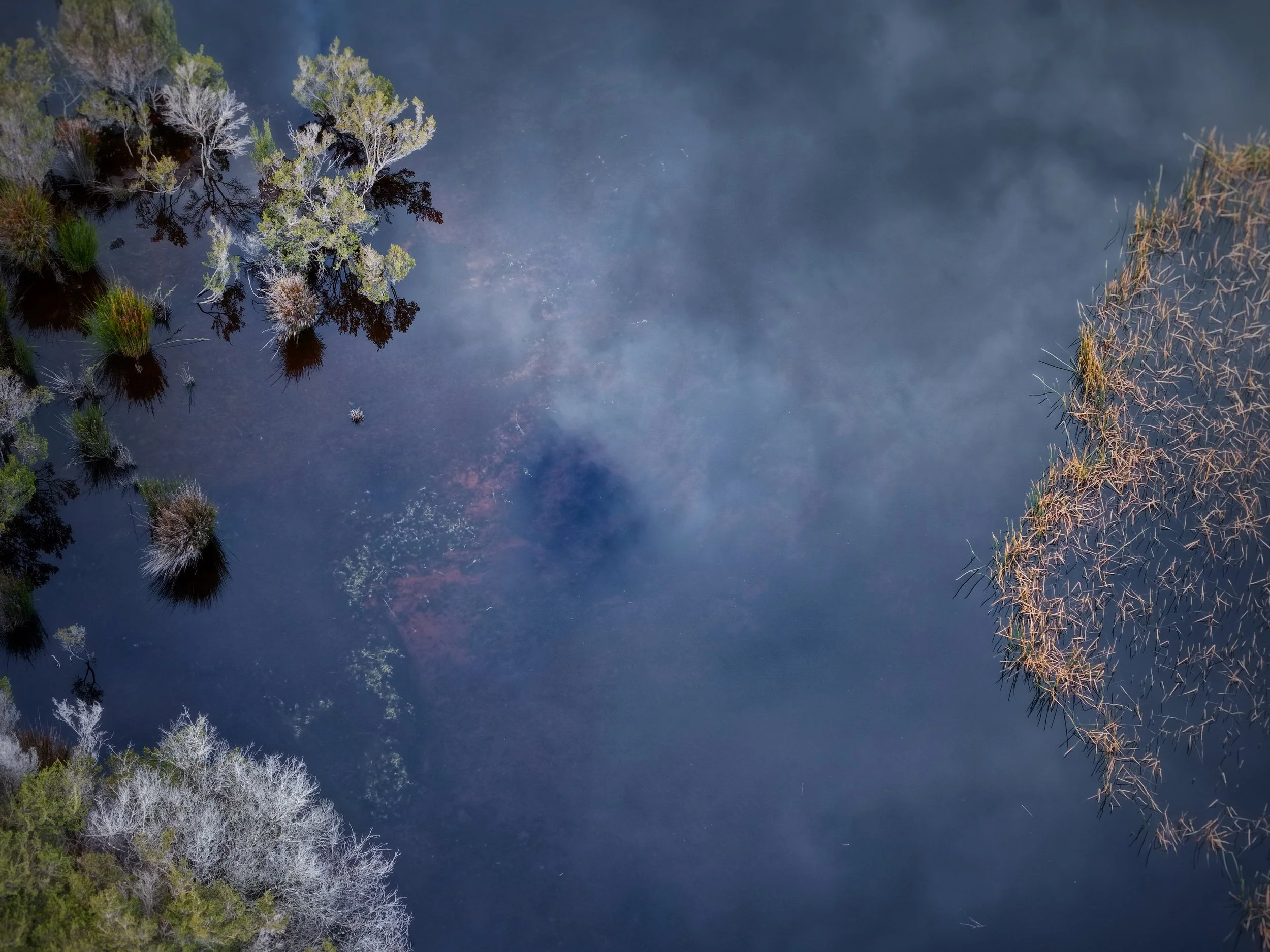 DJI_20260818161842_0099_D.jpg