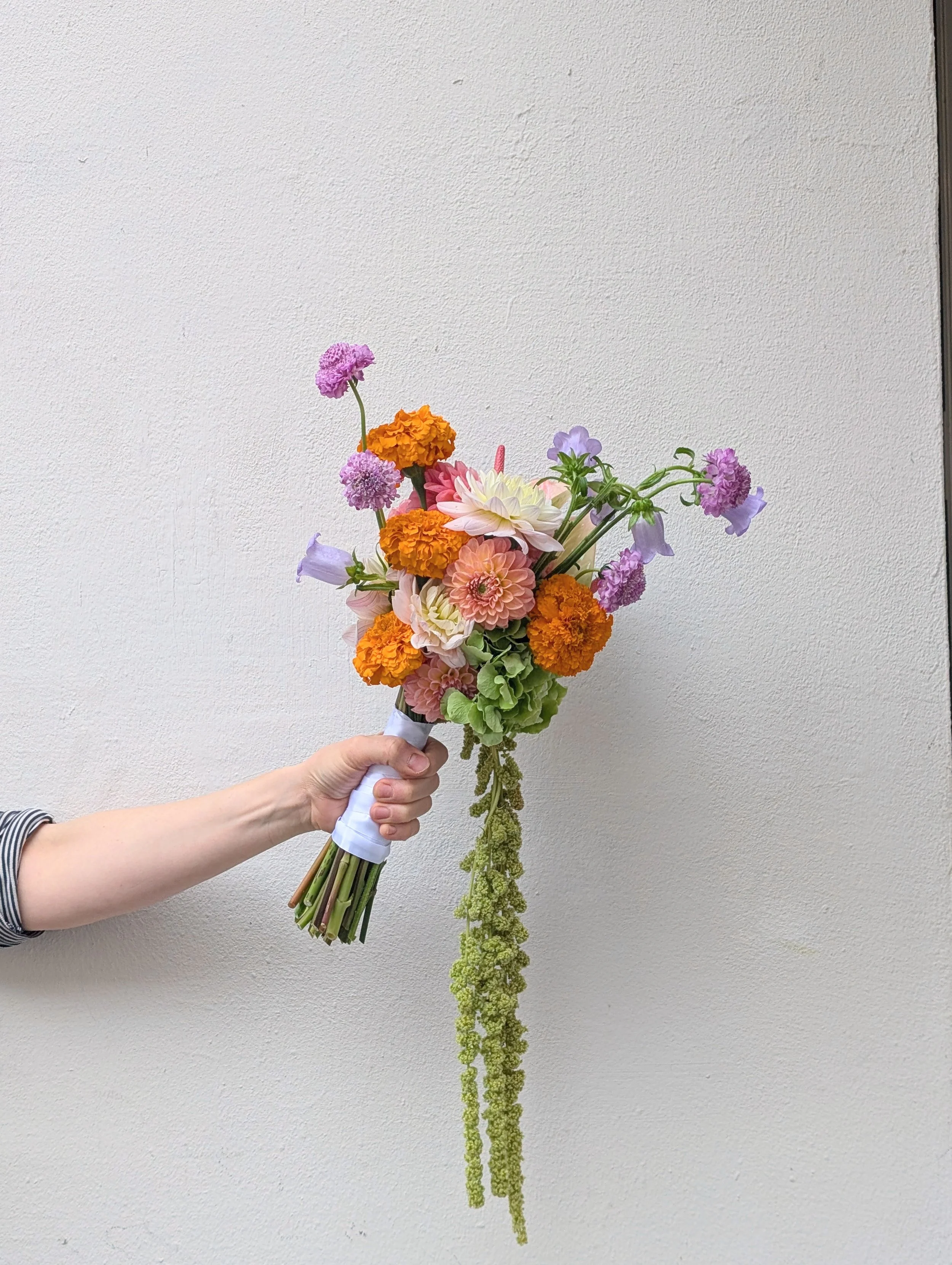 Hand holding a colorful bouquet of marigolds, dahlias, scabiosa, bellflowers, and trailing greenery against a white wall