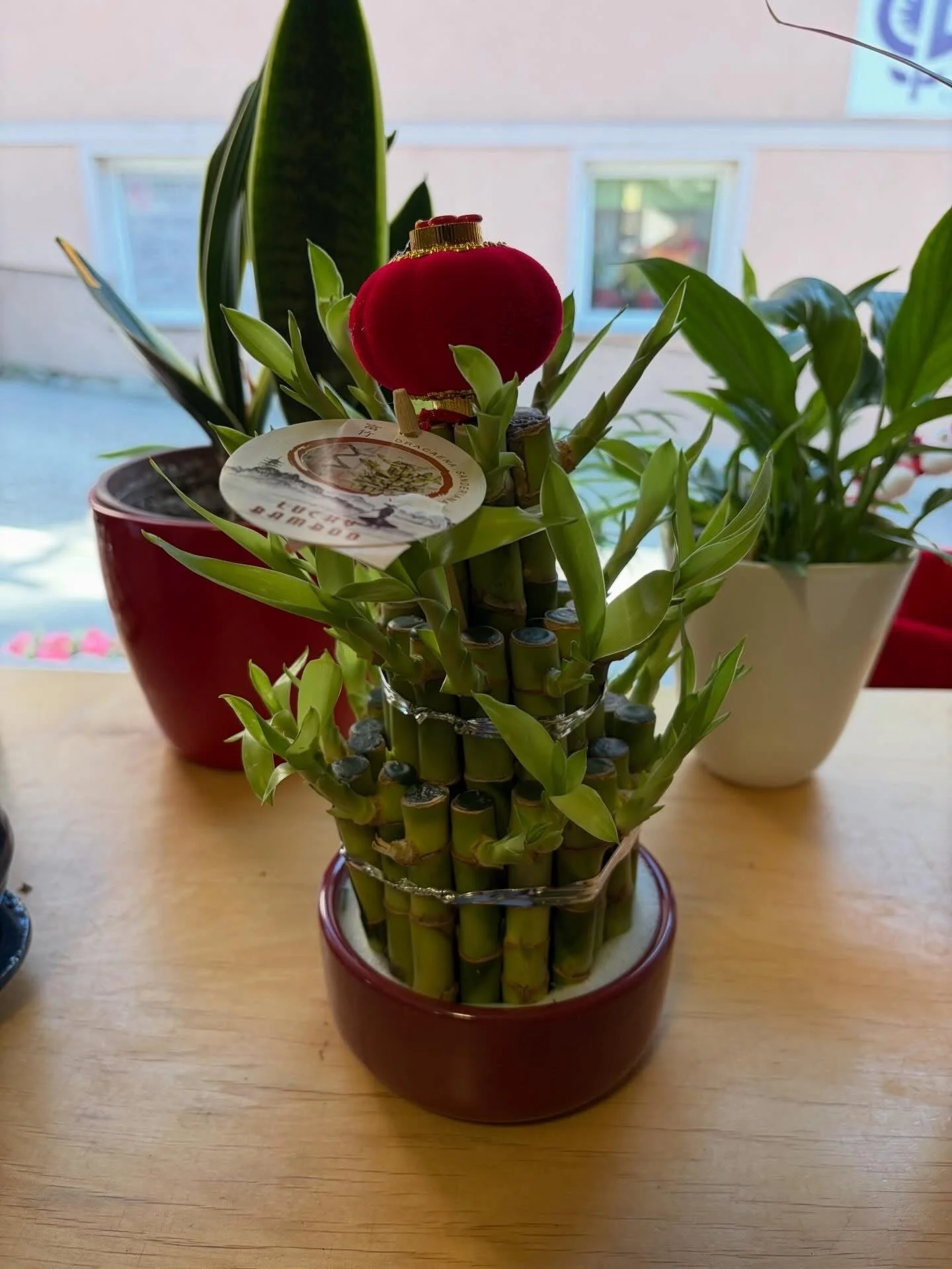 IMG_0312.jpeg