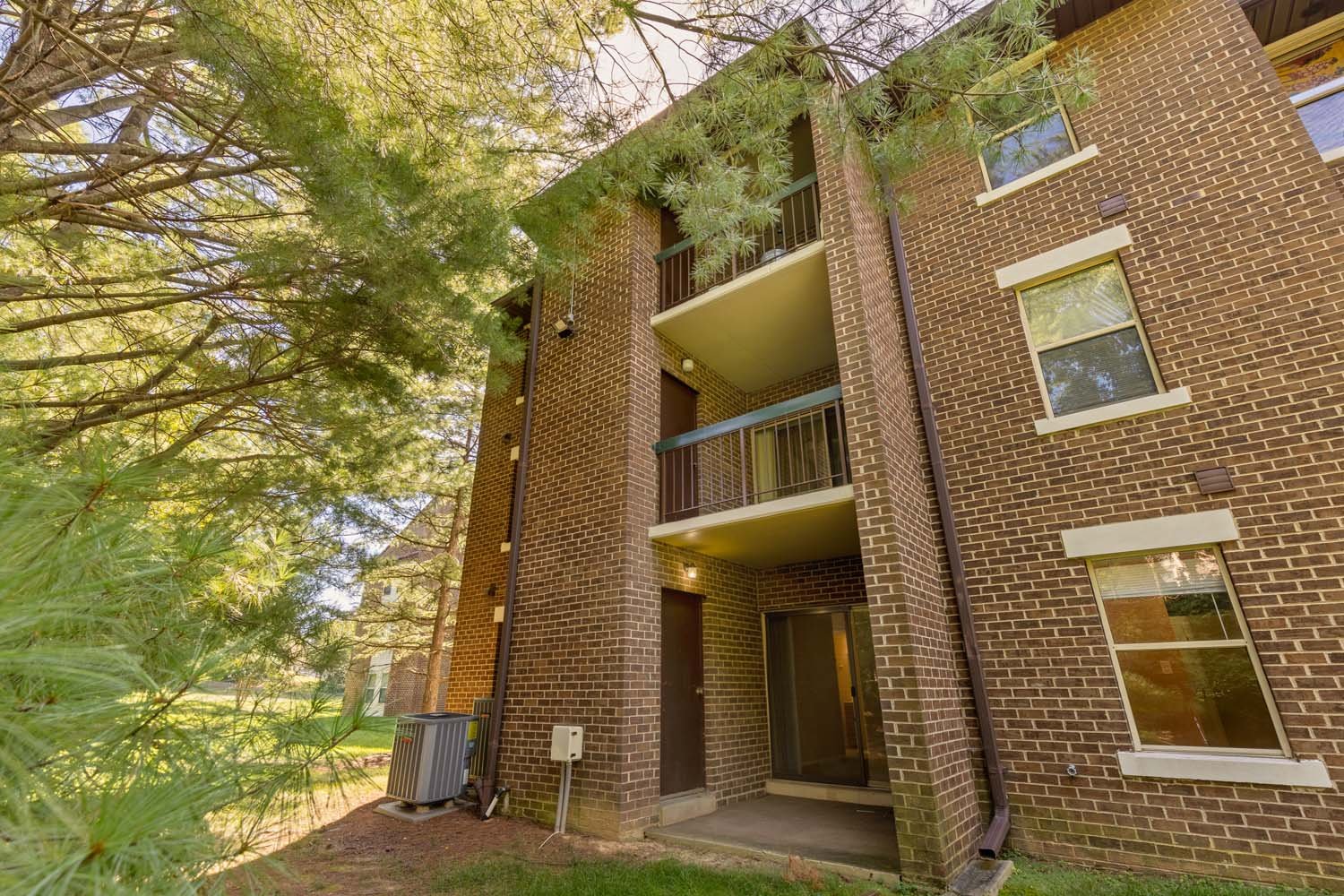 7909 Coriander Dr 103-0026.jpg
