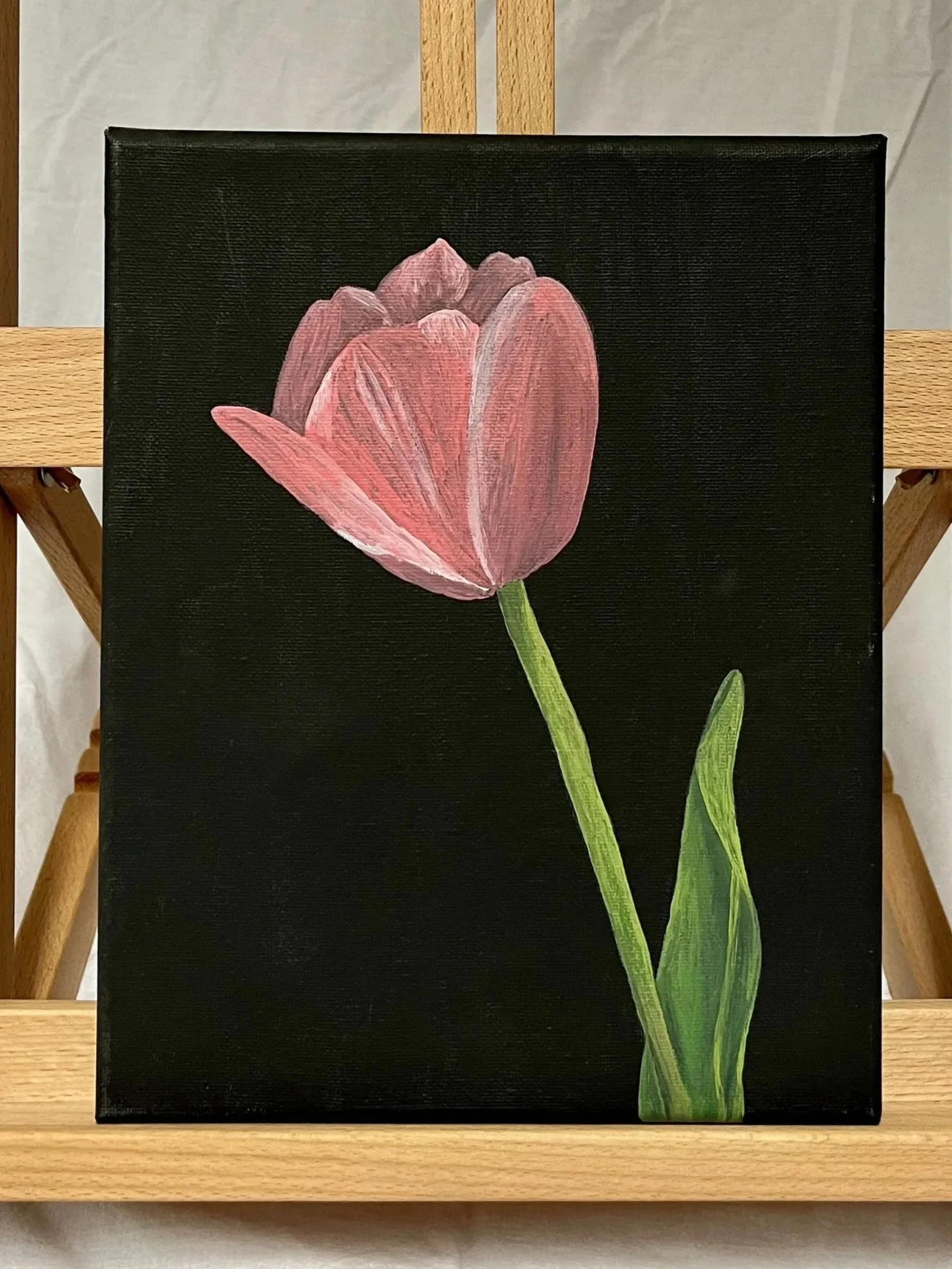 Grandma's Tulip