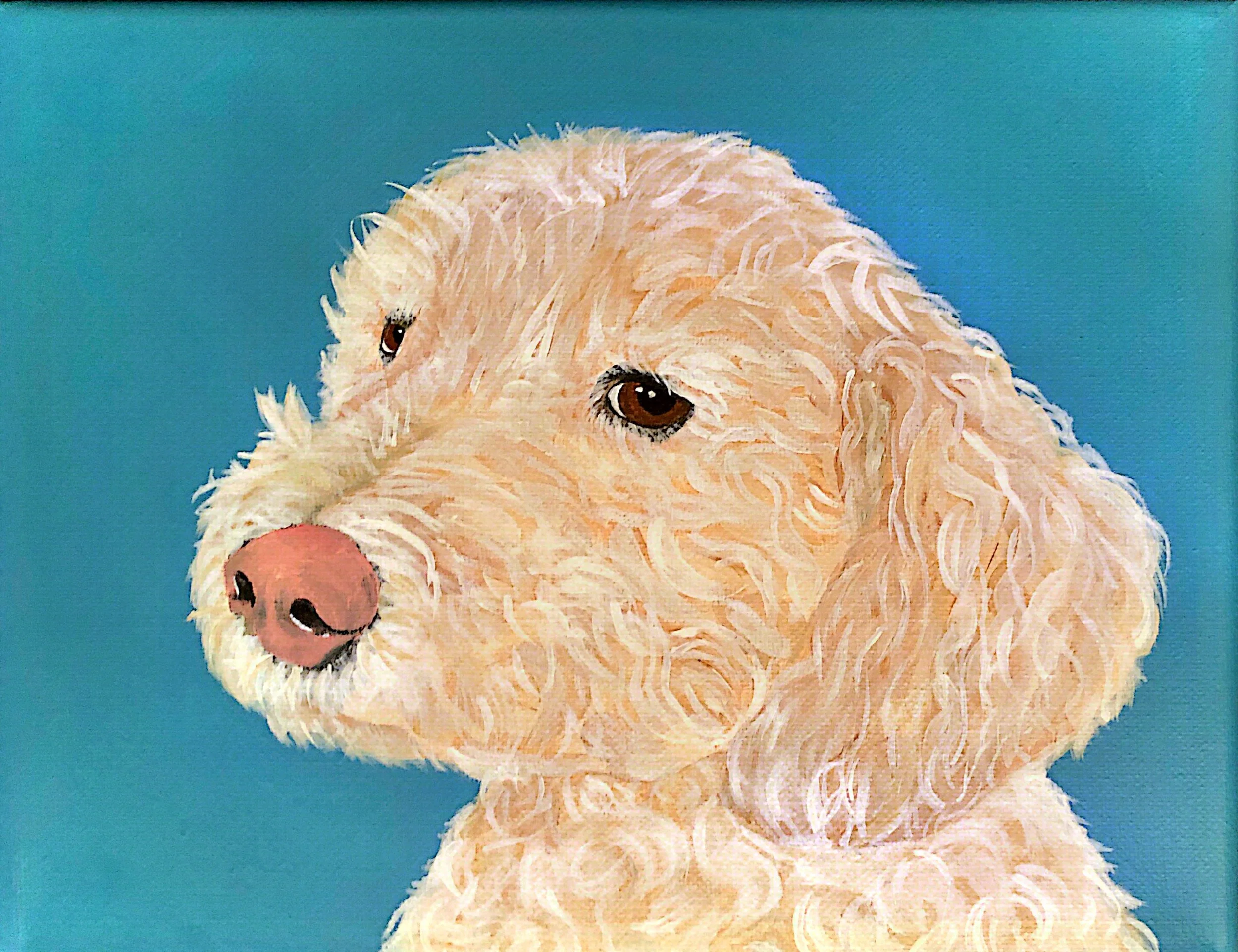 Tucker