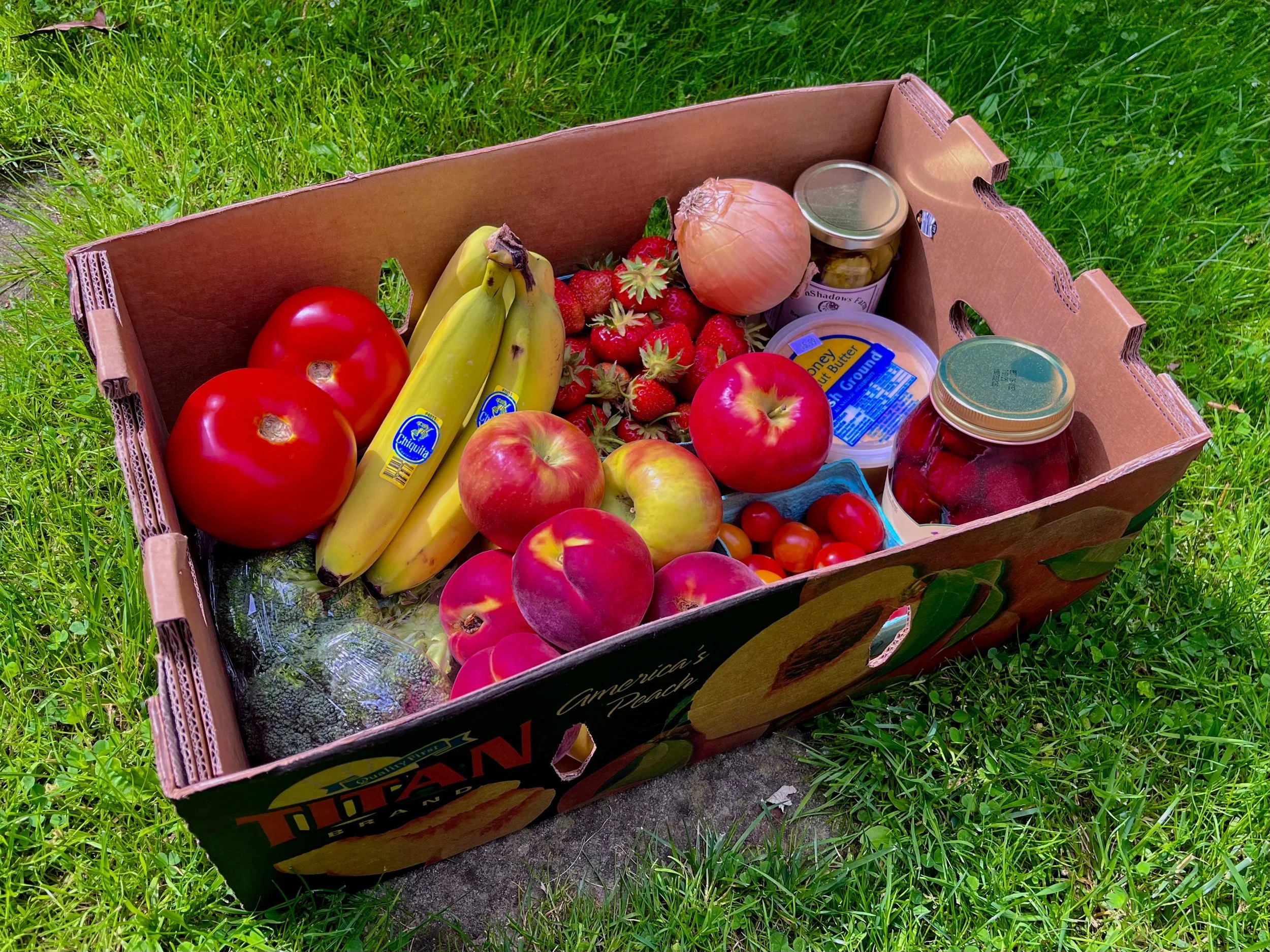 A cardboard box filled with fresh farm produce, including red apples, bananas, strawberries, onions, and jars of pickled vegetables, placed on green grass.