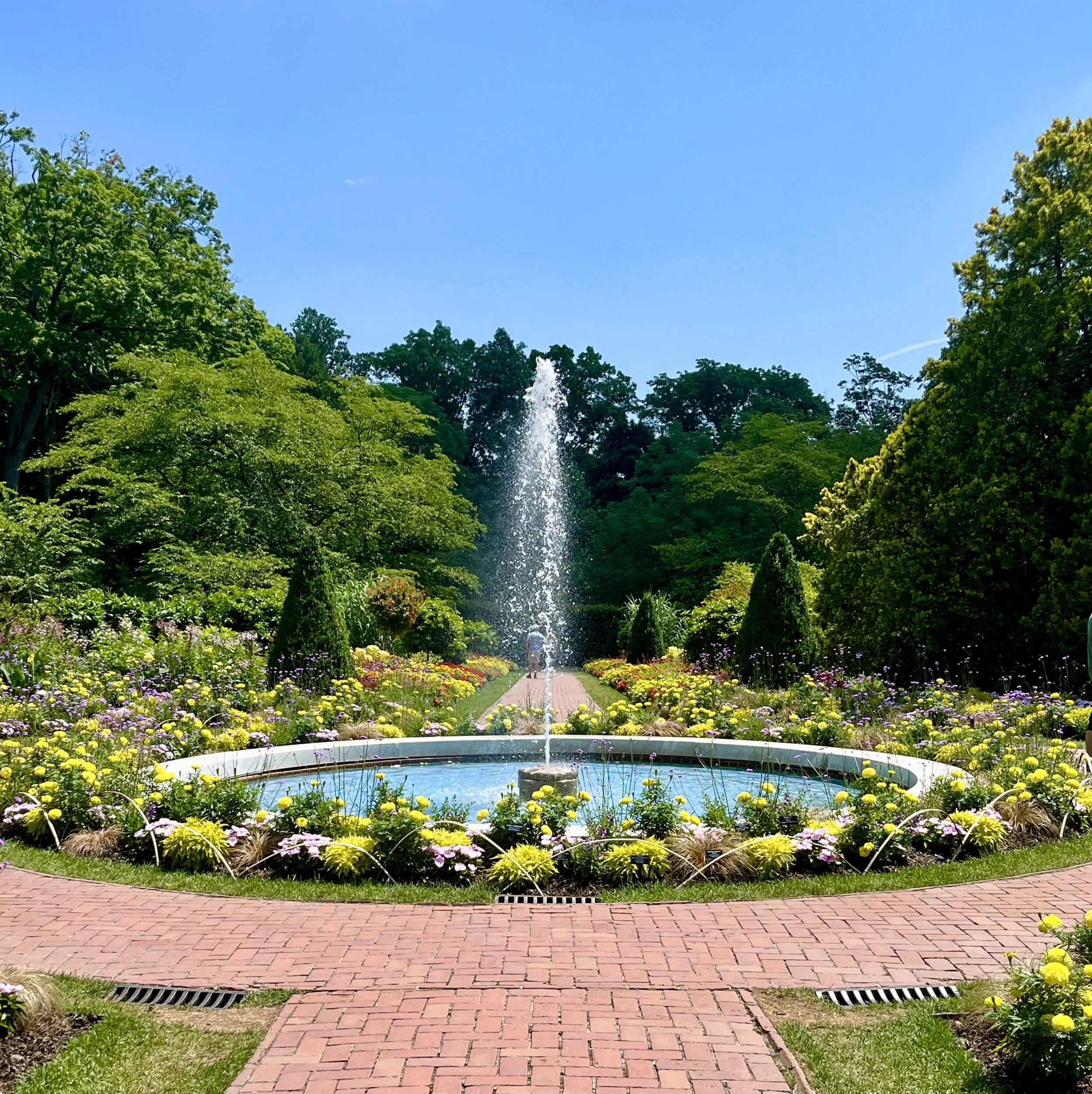 A landscaped garden with colorful flowers, a red brick pathway, a fountain, and a backdrop of green trees under a clear blue sky.