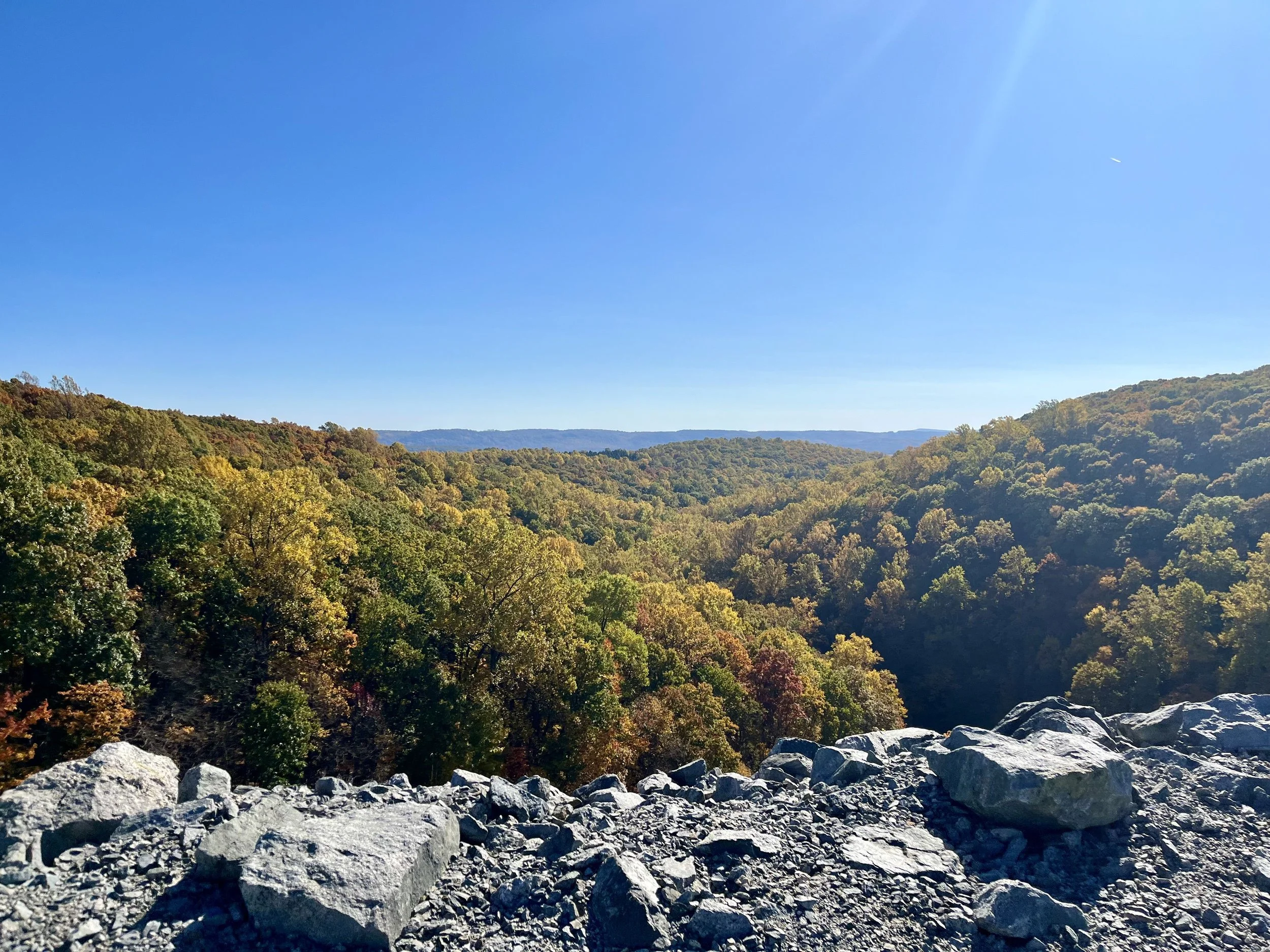 View of a mountain landscape with a rocky foreground, a forest with green and autumn-colored trees, and a clear blue sky overhead.