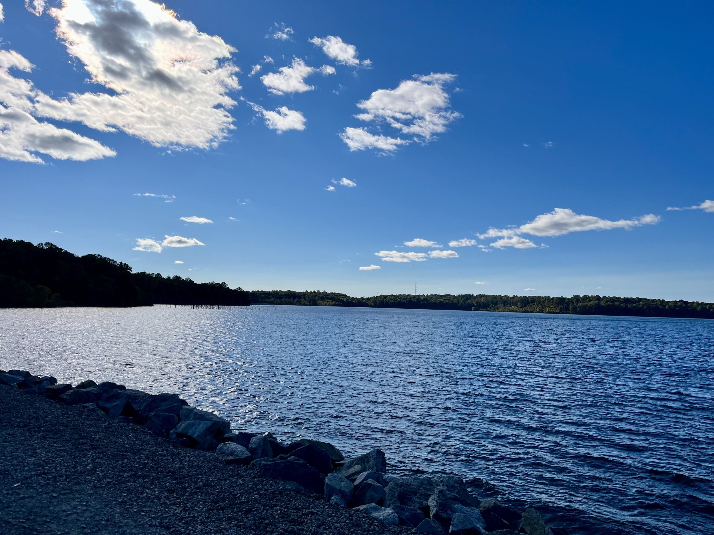 View of a large body of water with a tree-covered shoreline in the distance under a blue sky with scattered clouds.