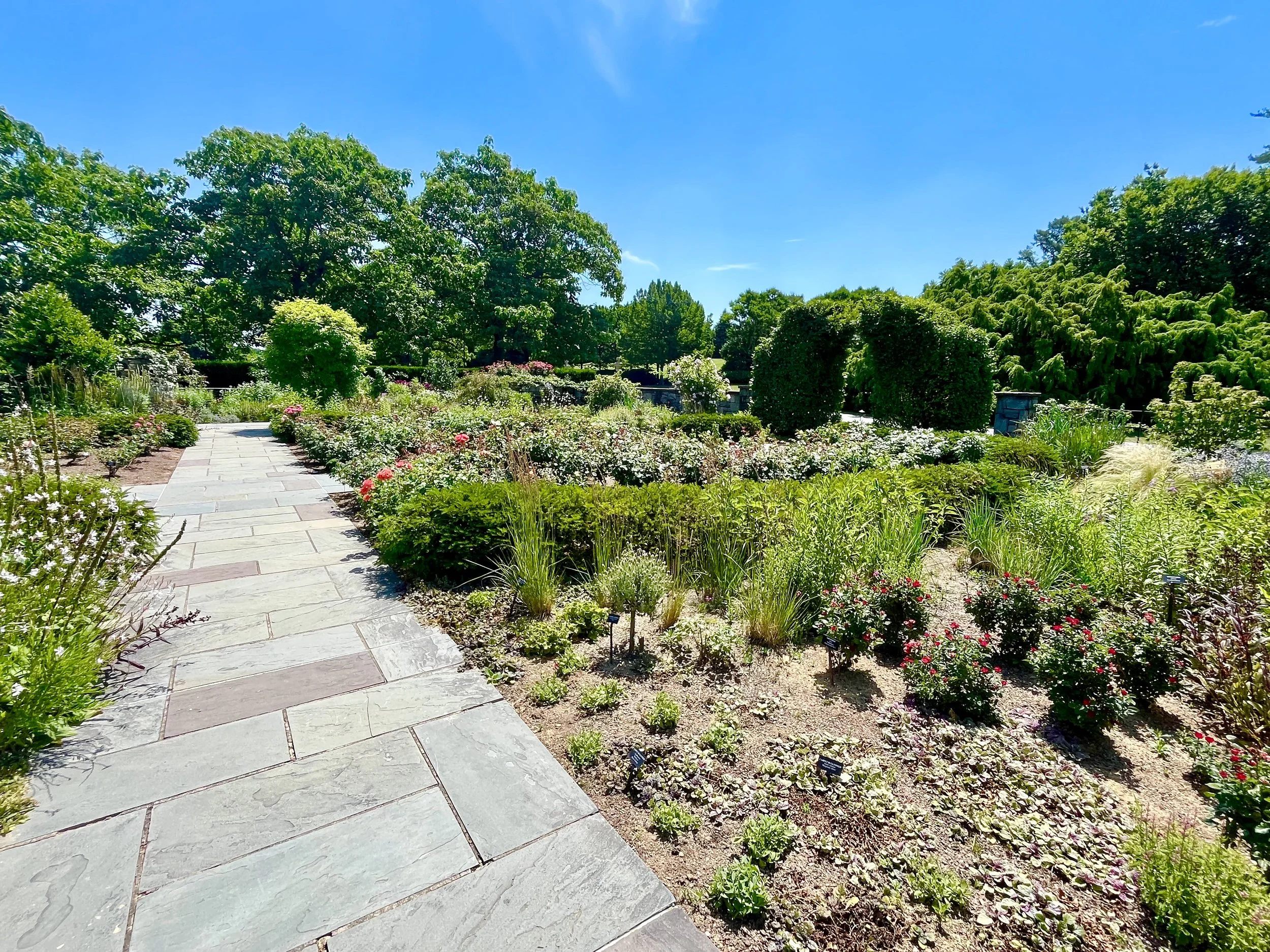 A garden with a stone pathway leading through flower beds and lush green trees under a bright blue sky.