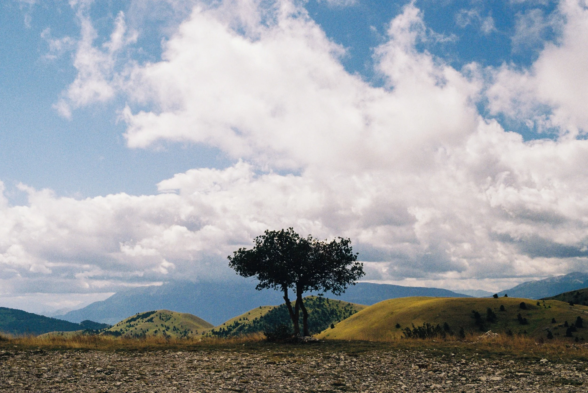 a summer in italy-06.jpg