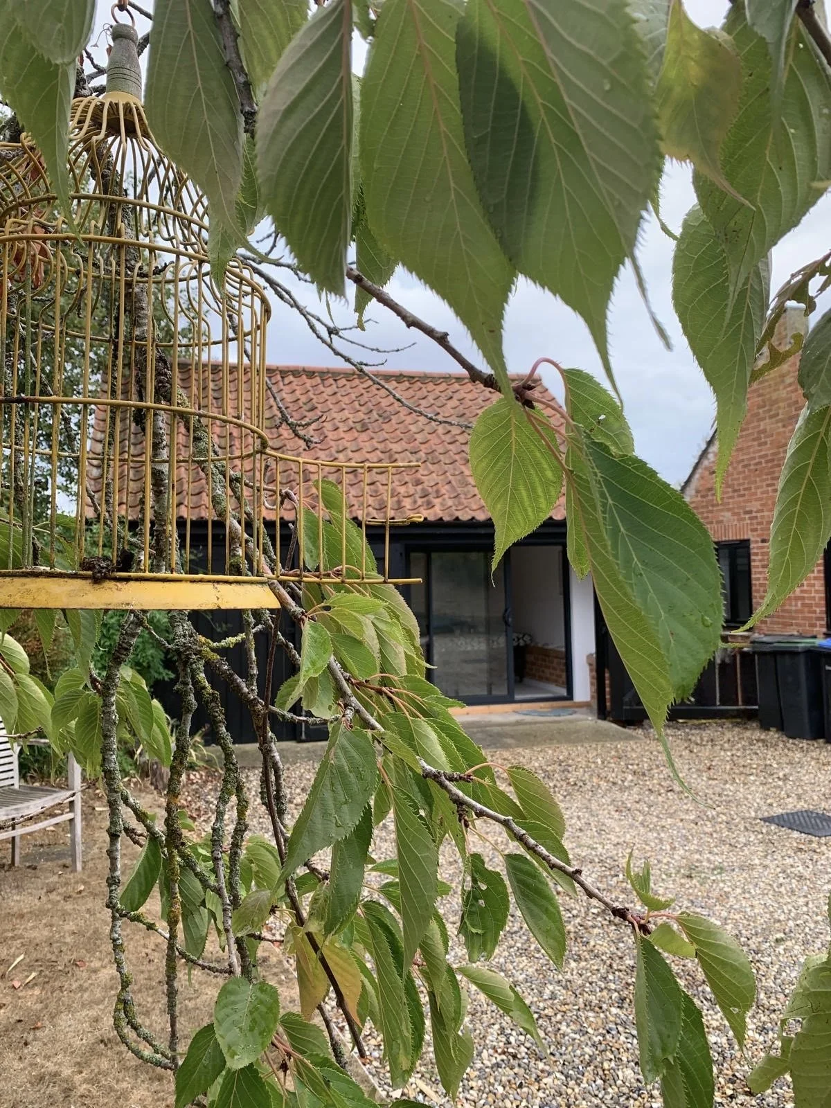 A branch with green leaves in the foreground, a birdcage hanging from the tree, and a house with a brick roof and a sliding glass door leading into the studio in the background.