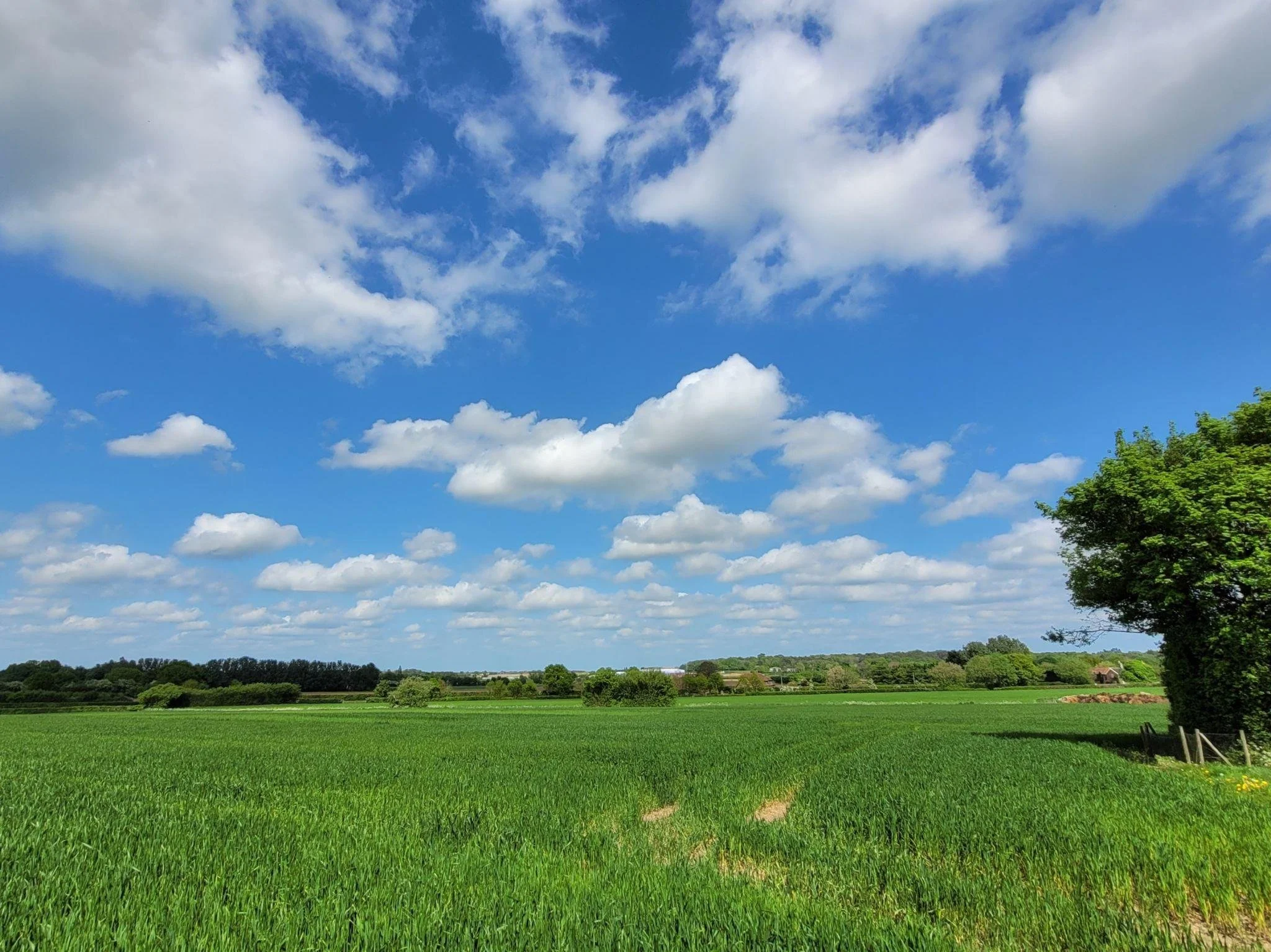 A green field with trees, a blue sky with many white clouds, and distant hills.