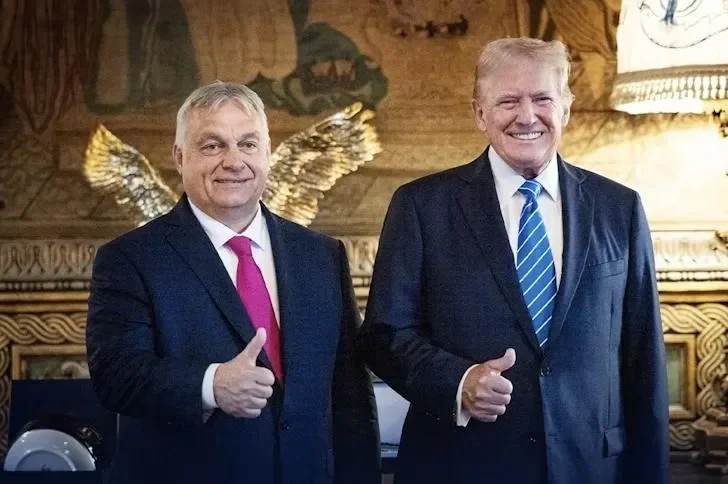 Voting Out the Autocrat
