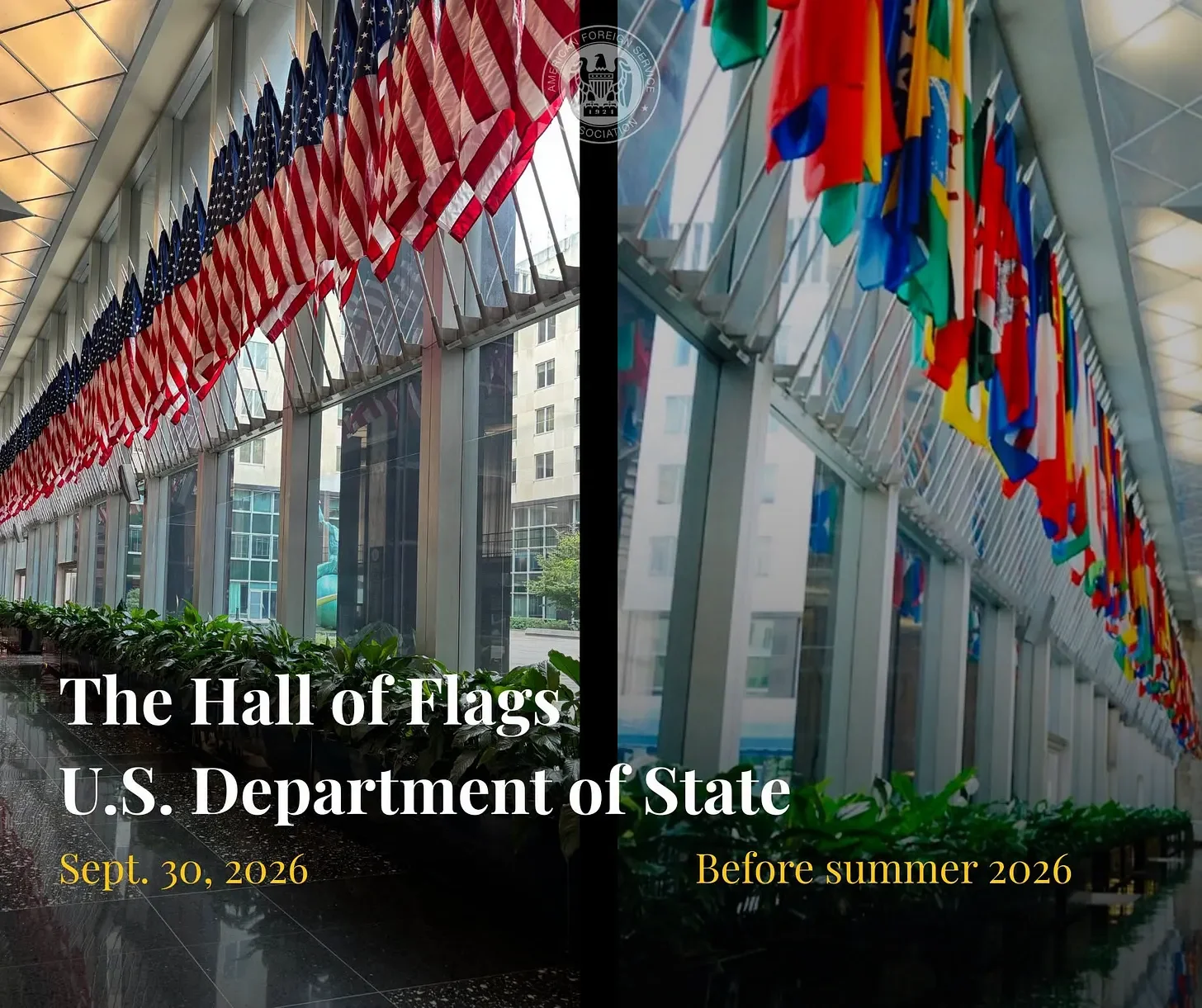 The Flags Are Up. The Fallen Are Hidden.