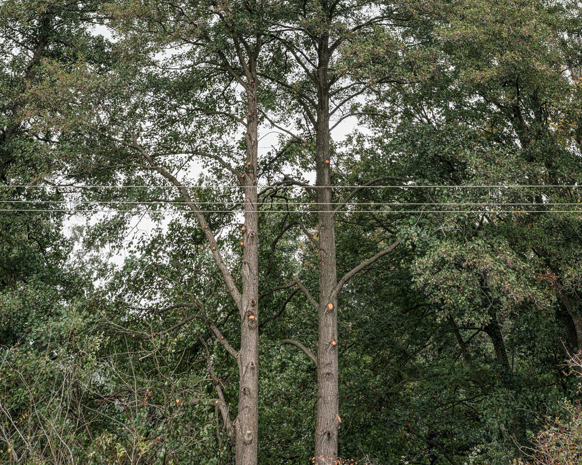 DSCF5218-Edit-A3.jpg