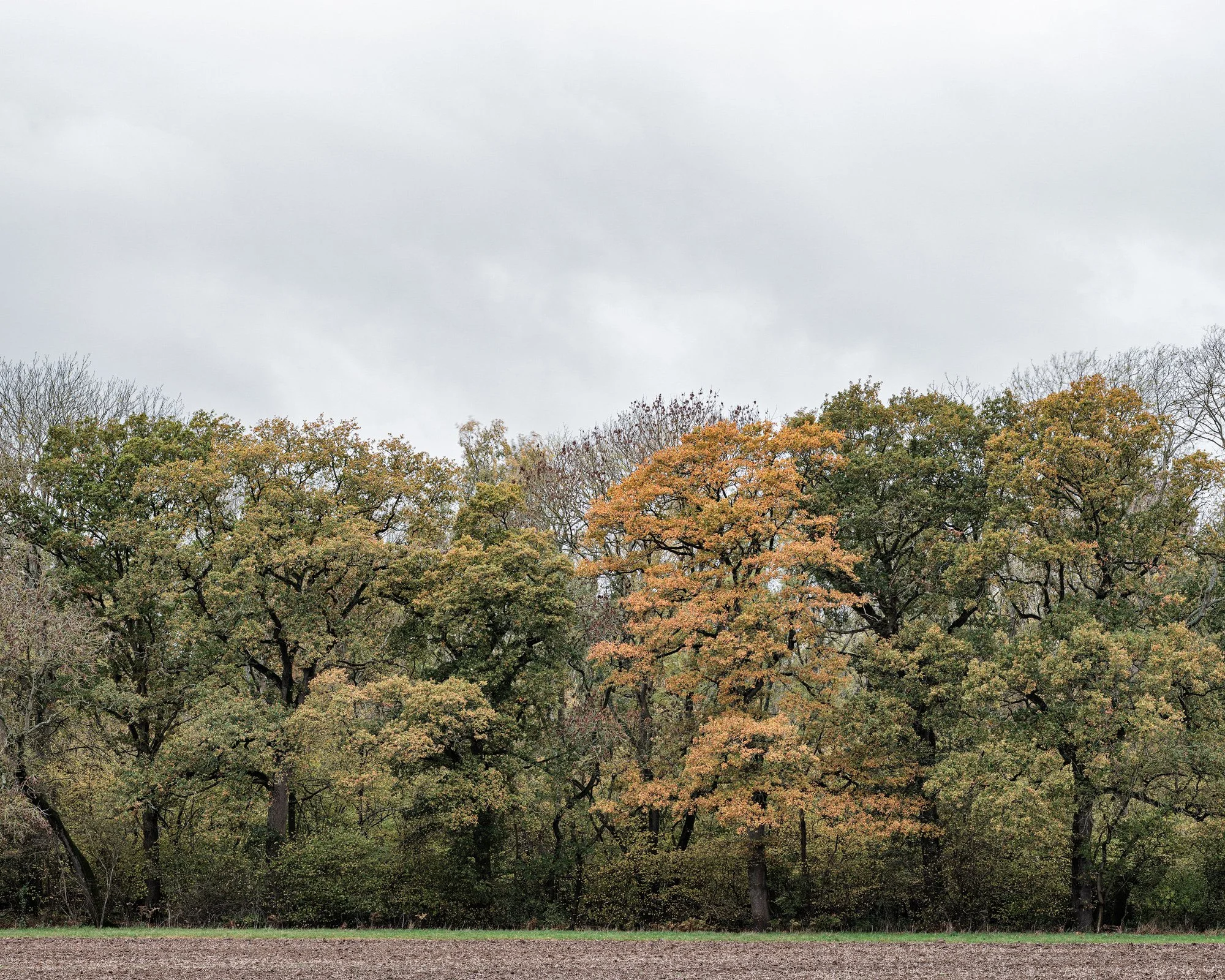 DSCF5473-Edit-A3.jpg