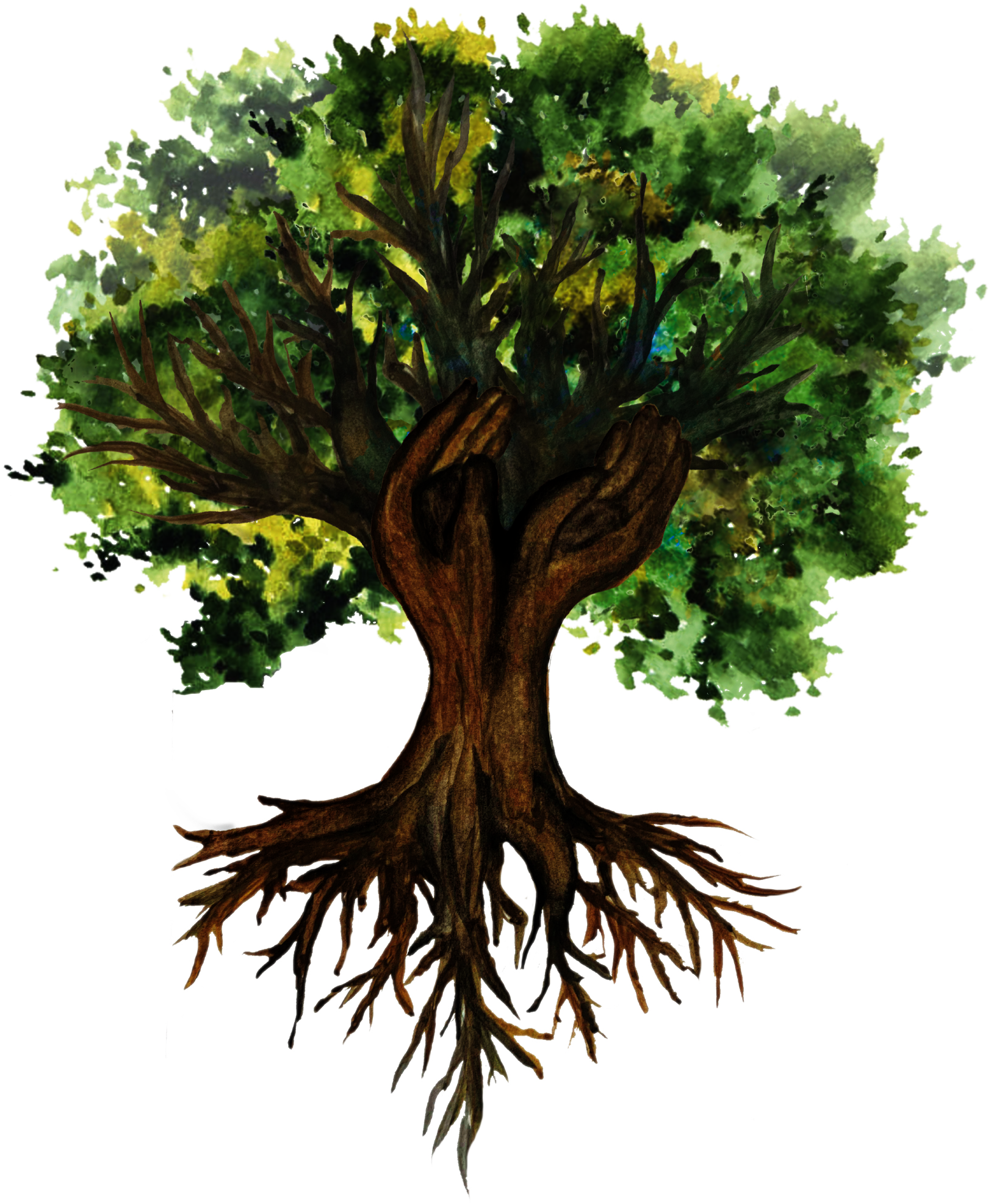 A watercolor painting of a large, leafy green tree with a thick brown trunk and numerous branches, with visible roots at the base.