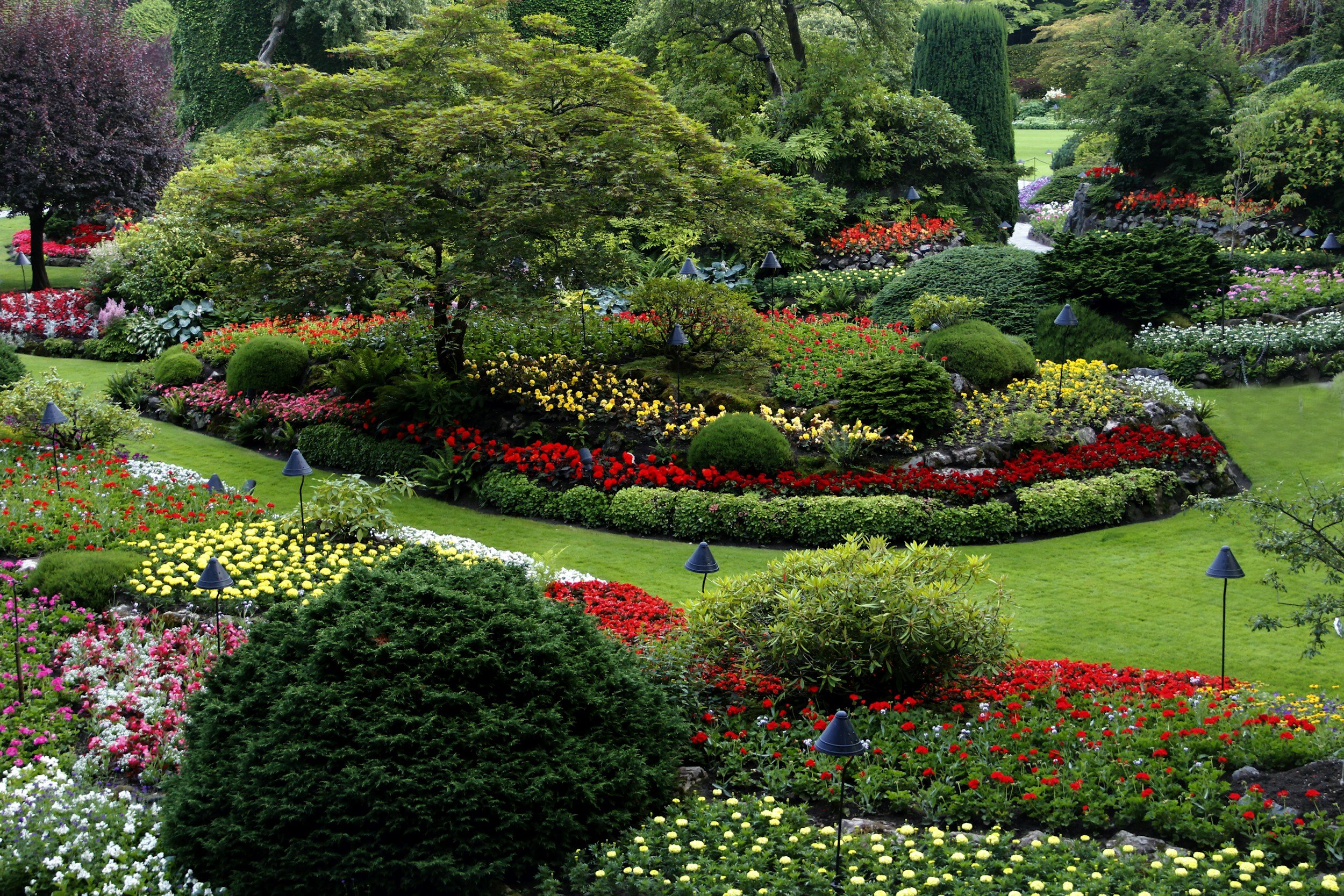 Landscape project