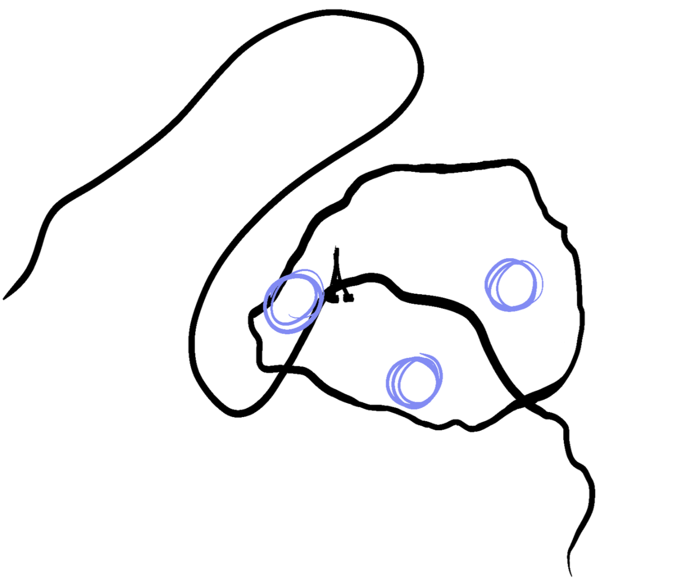 A simple line drawing of Paris, showing the Siene river running through and beyond the bounds of Paris, the Eiffel Tower and the three Parisian workshop locations, in purple circles.