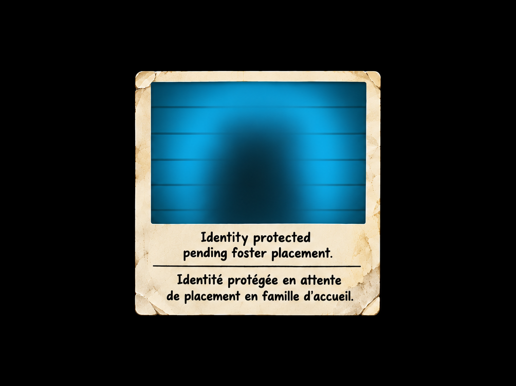 Thingamajig_Foster_Blue_1004x750_72DPI.png