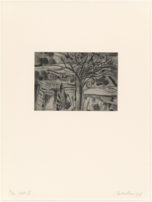 A monochrome spitbite aquatint, soft ground editing and drypoint of a tree with bare branches, abstracted landscape by Ruth E. Fine, courtesy of the National Gallery of Art, Washington D.C.