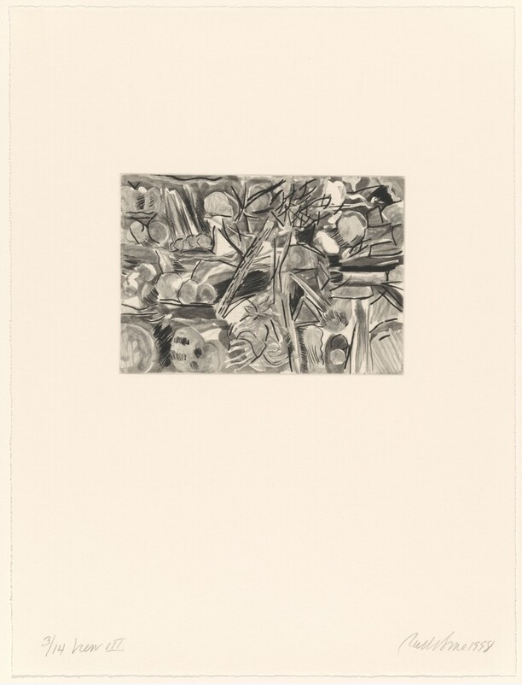 An achromatic print spitbite aquatint, soft ground editing and drypoint of an abstracted landscape by accomplished printmaker Ruth E. Fine, courtesy of the National Gallery of Art, Washington D.C.