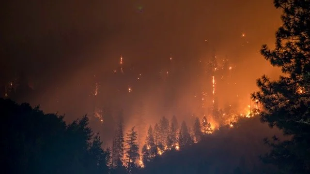 Canada's 2026 wildfire season: what this “acceleration" means for Ontario cottage country