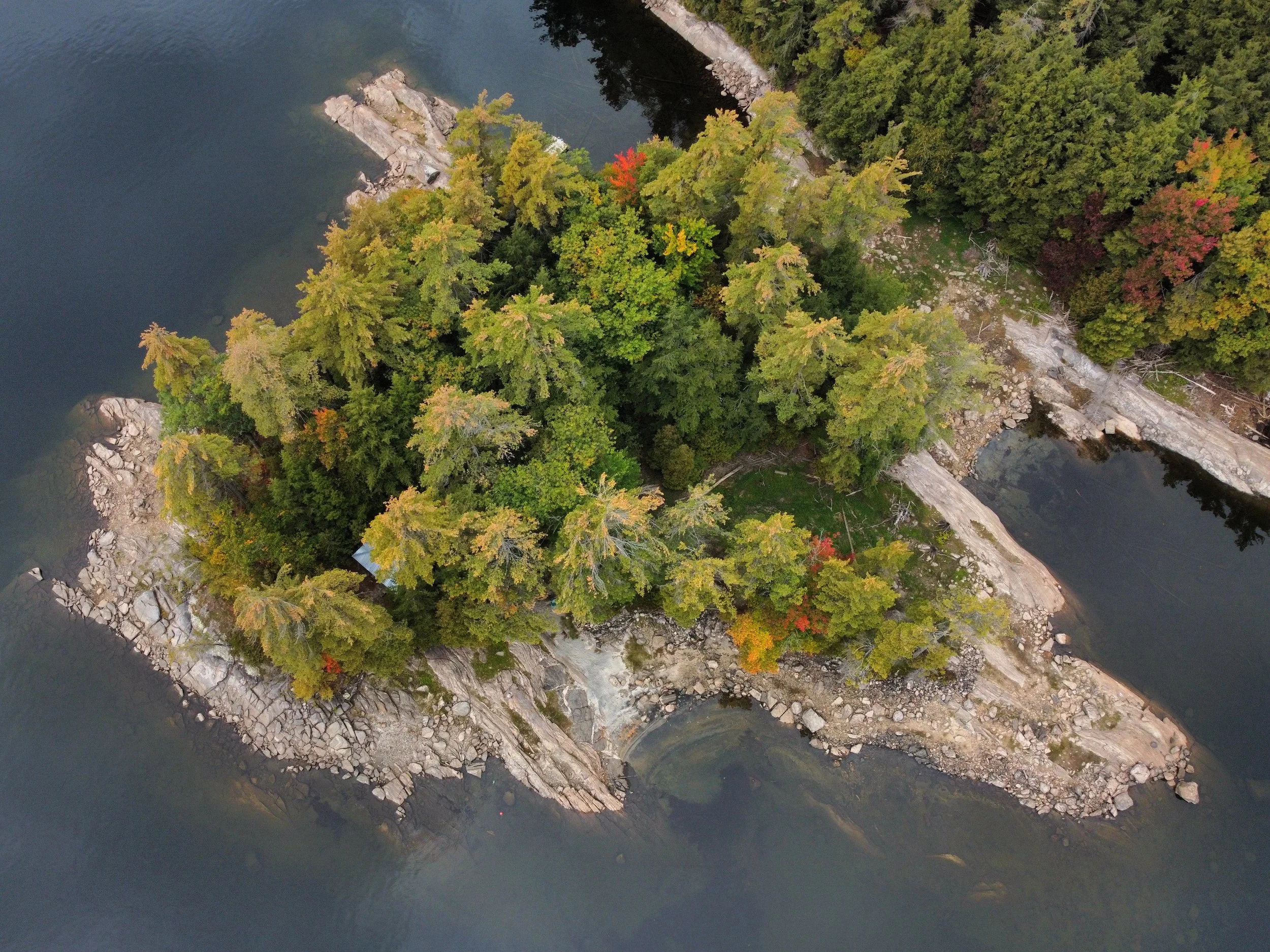 Be FireSmart This Fall: 10 Things to Do Before You Close the Cottage