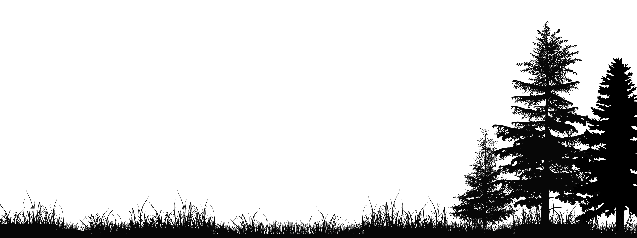 Silhouette of trees and grass against a dark sky.