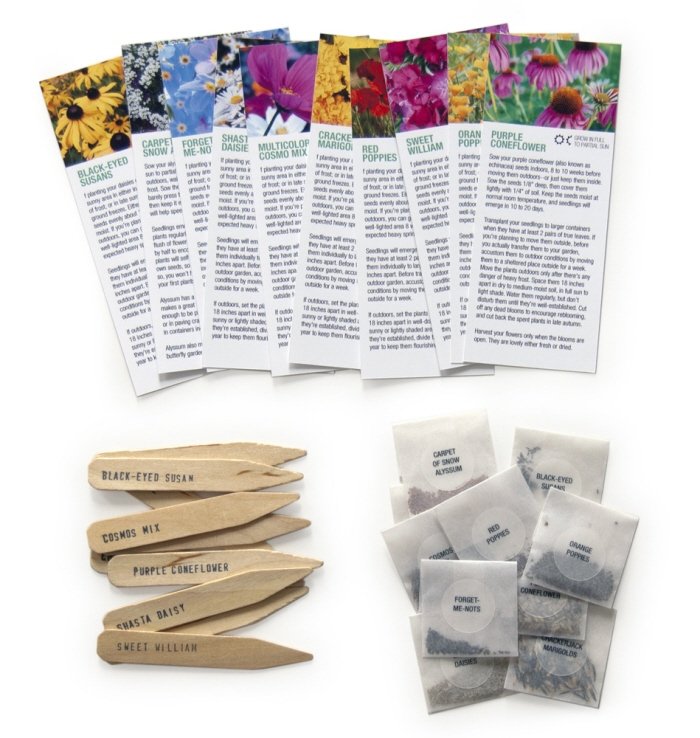 plant biodegradable seed kits - interior.jpg