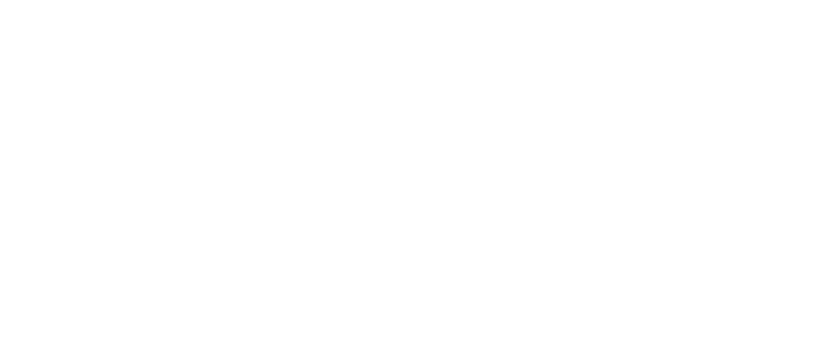 School-WISE Scales