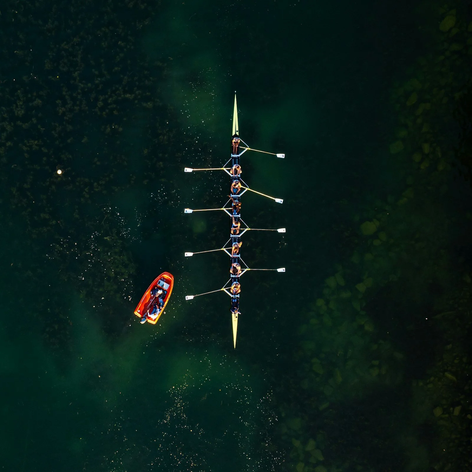 Summer Camp