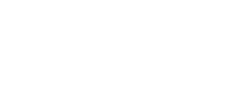 HCF-WISE Scales