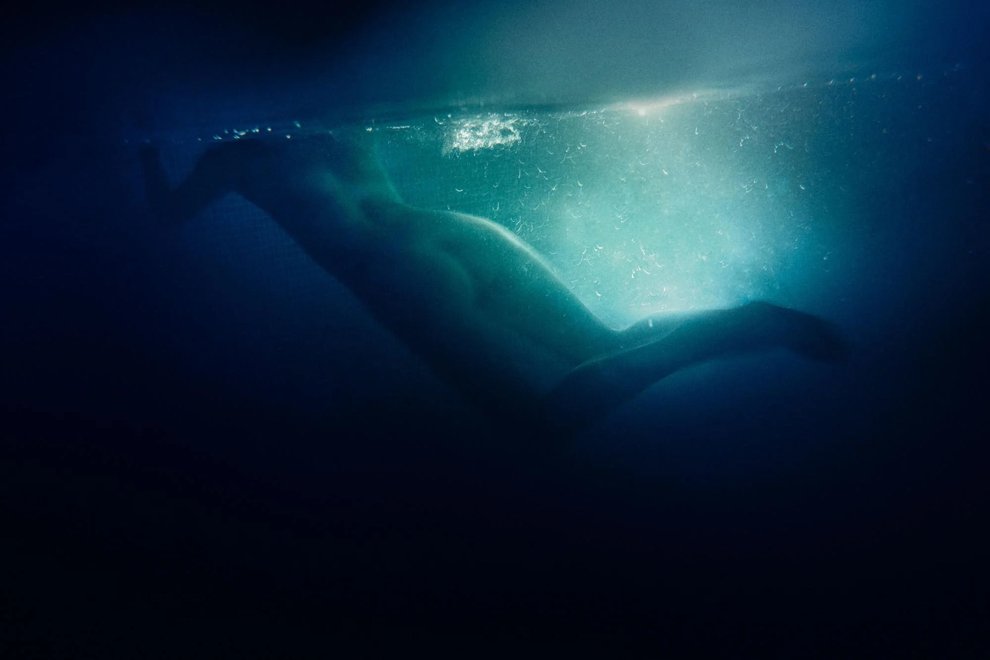 SWIM WITH