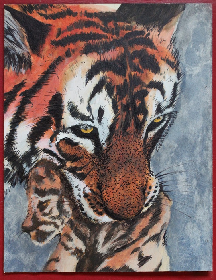 Tiger and cub - Acrylics Pen and Ink 
