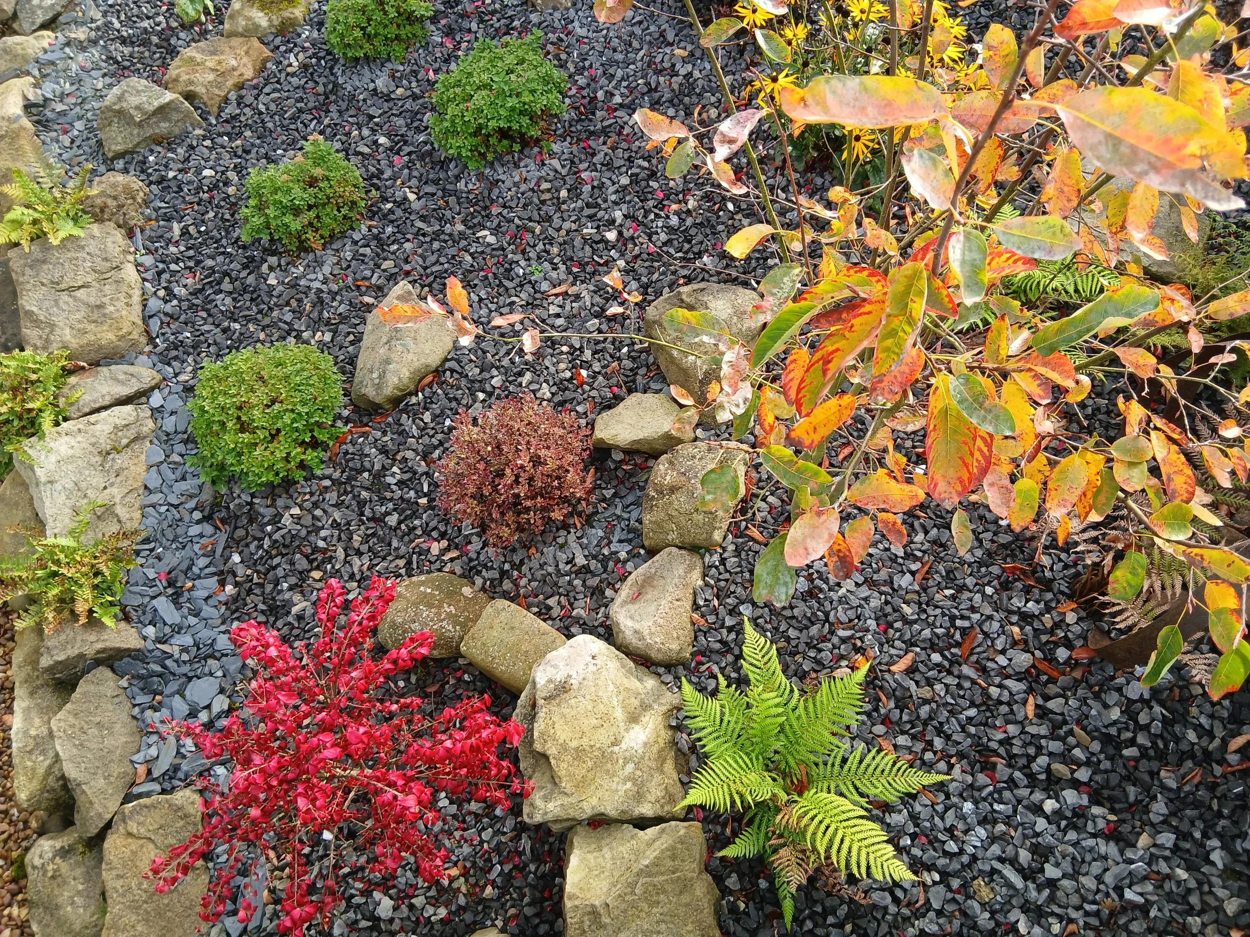 Autumnal colours. 
