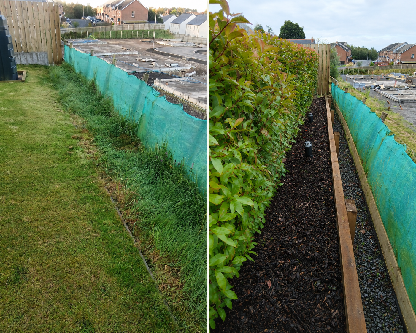 Hedge planting with retaining wall Co. Tyrone