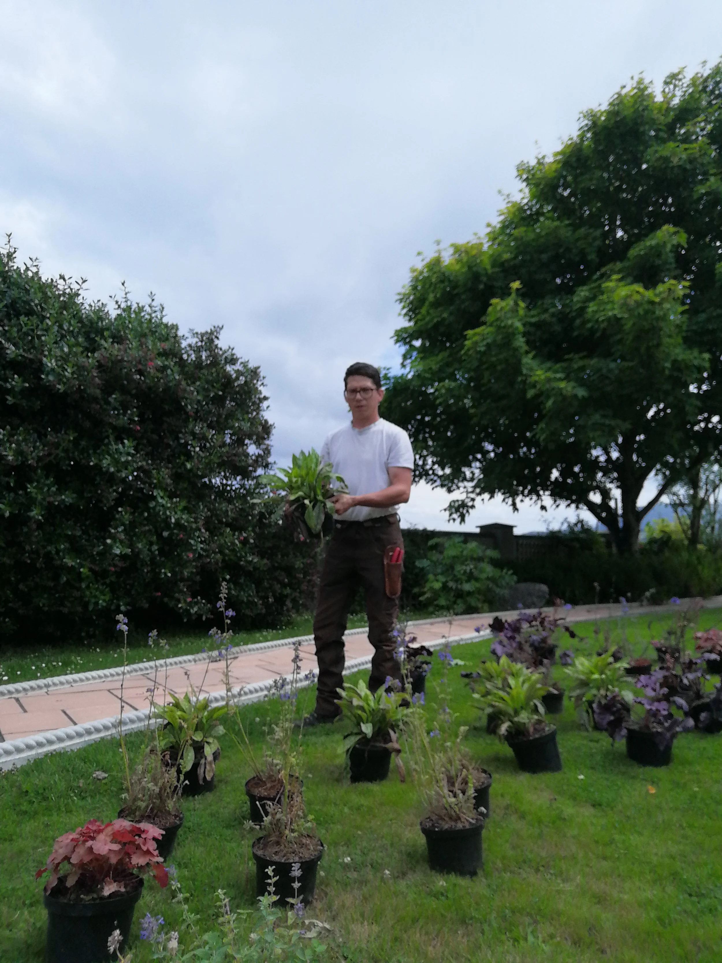 Setting up for planting in Rosses Point