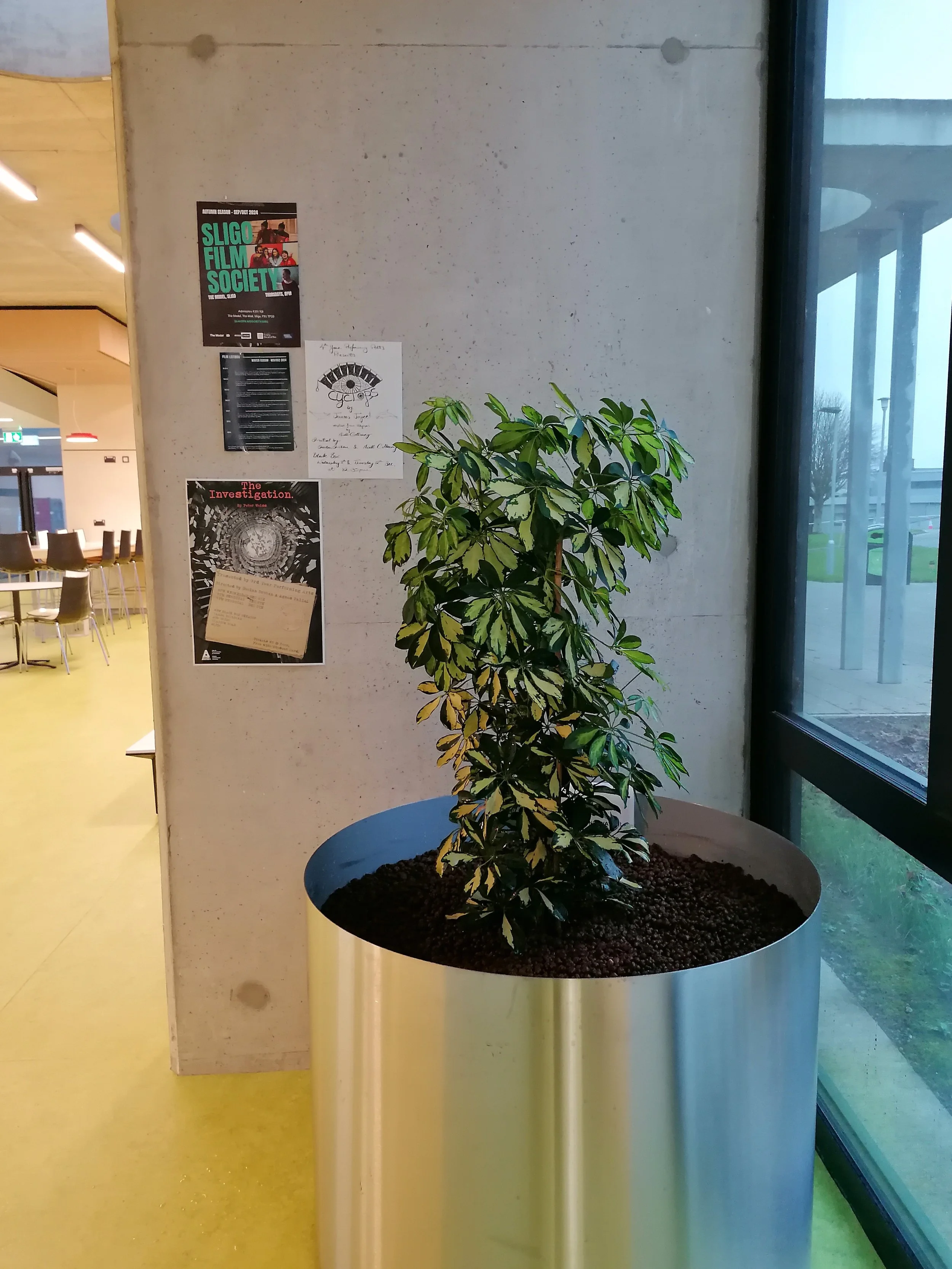 Indoor Plant Design ATU Sligo