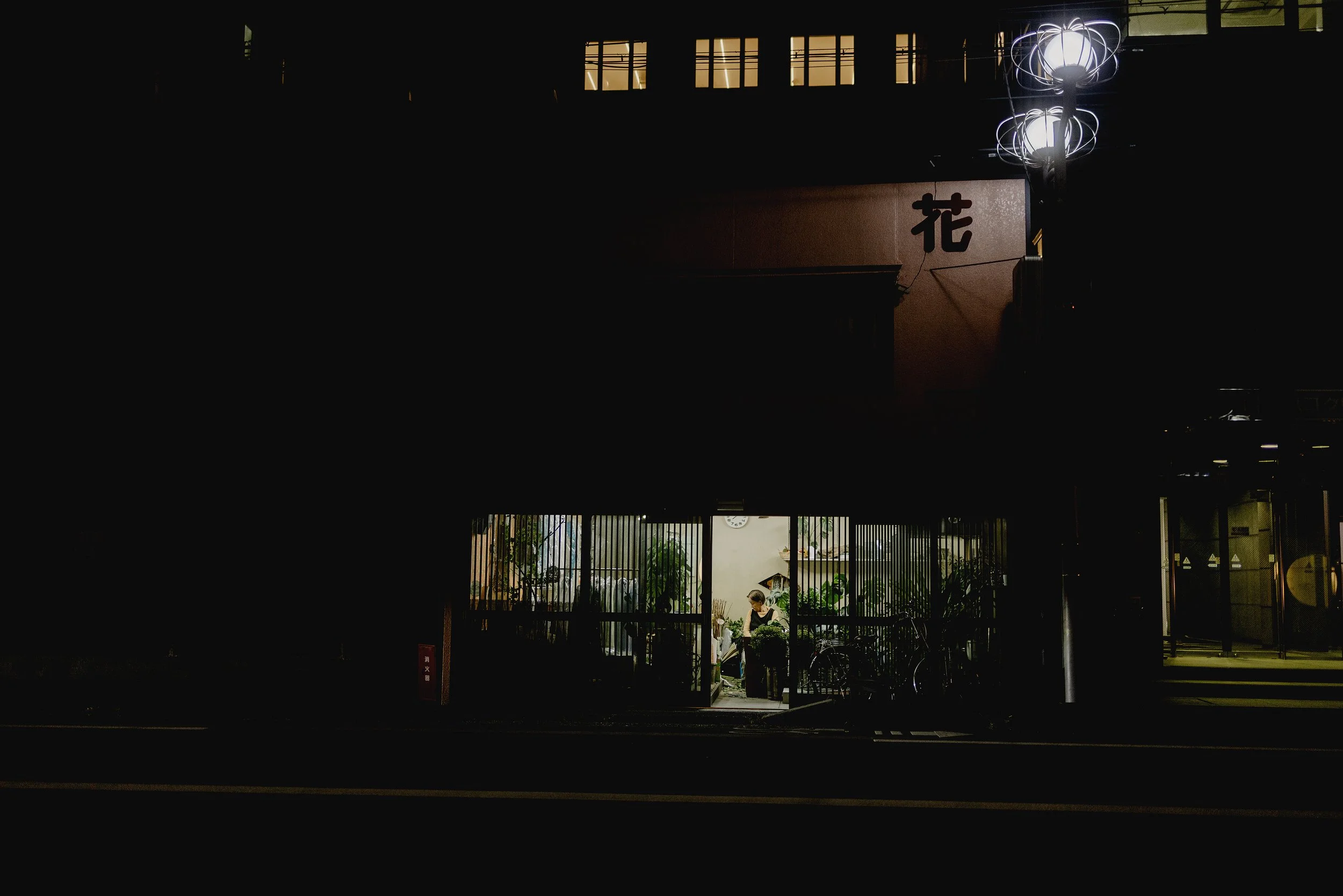 _35A5095.jpg
