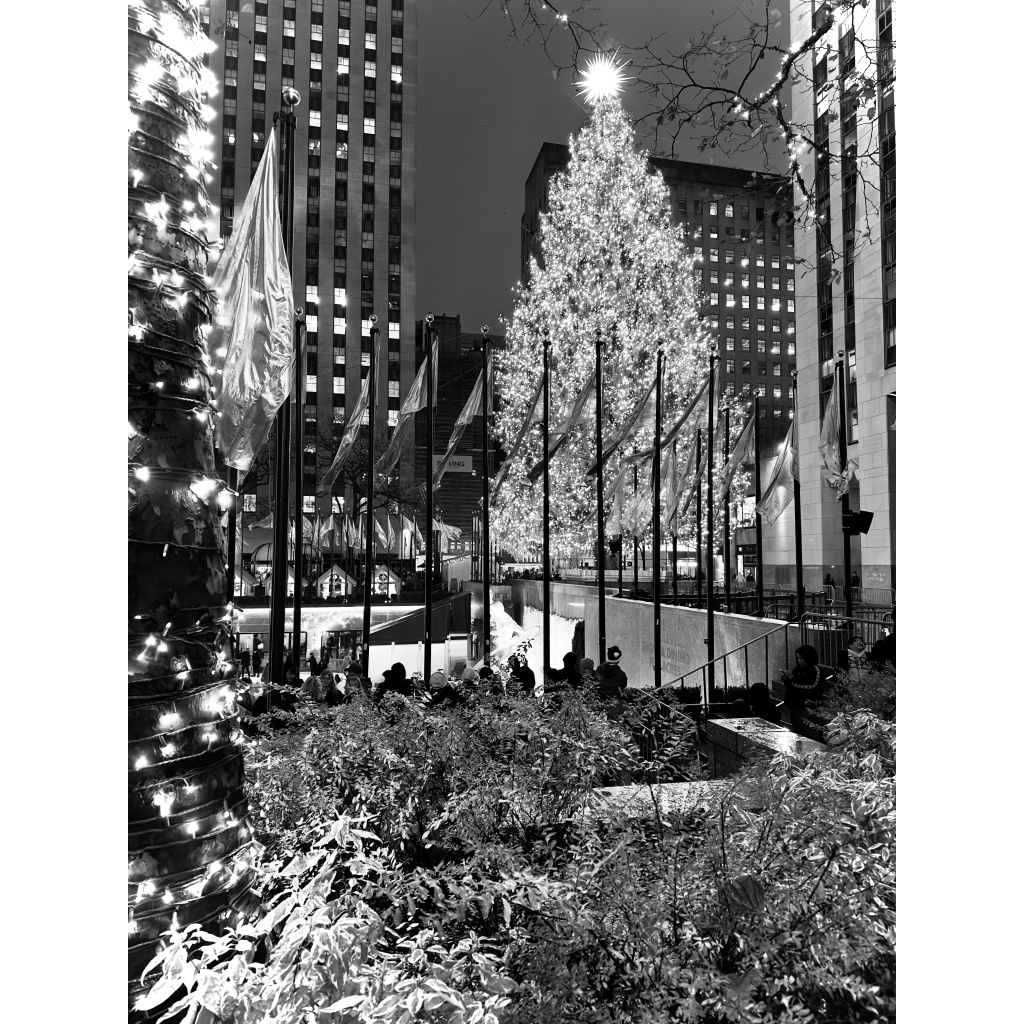 The Tree