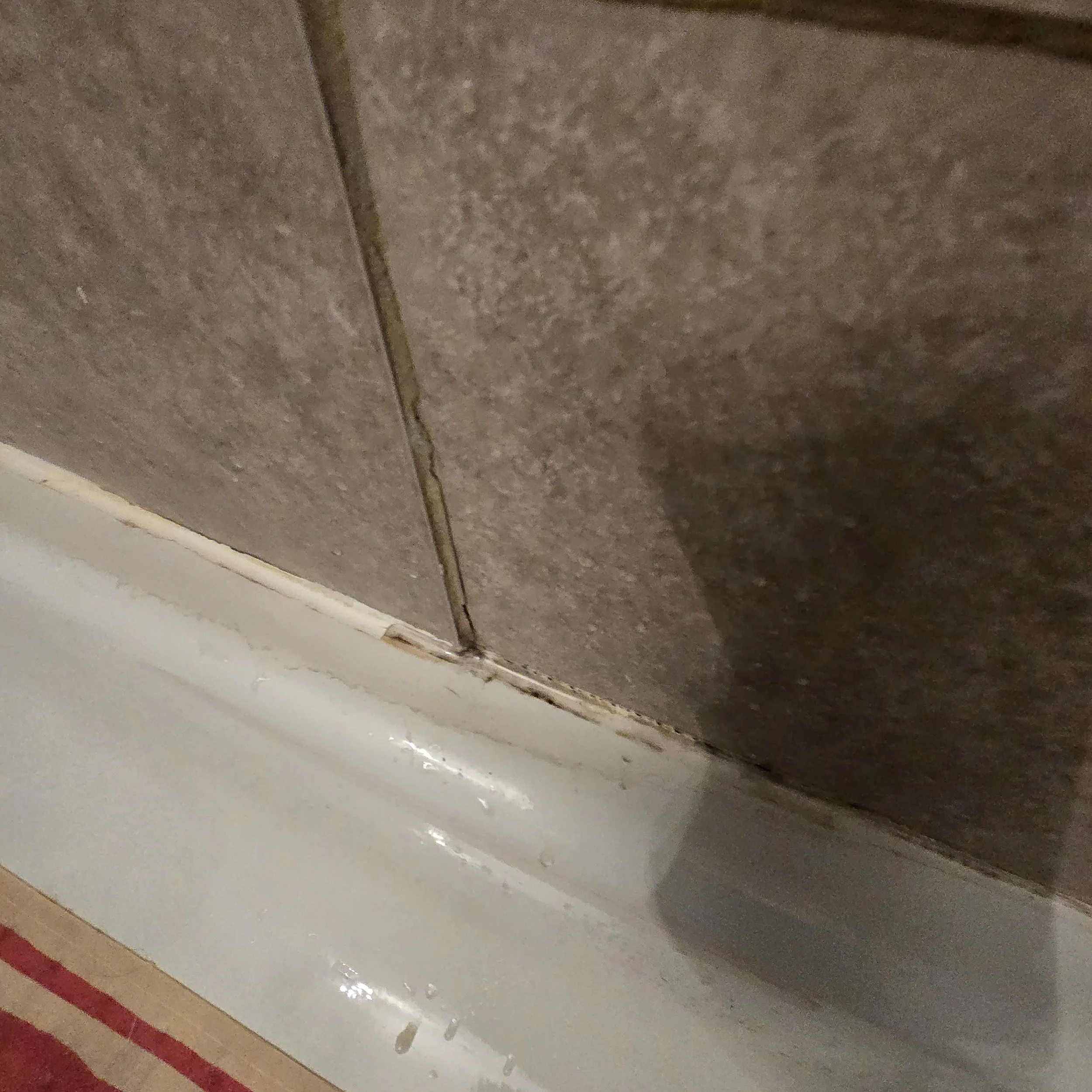 20241029_101018.jpg