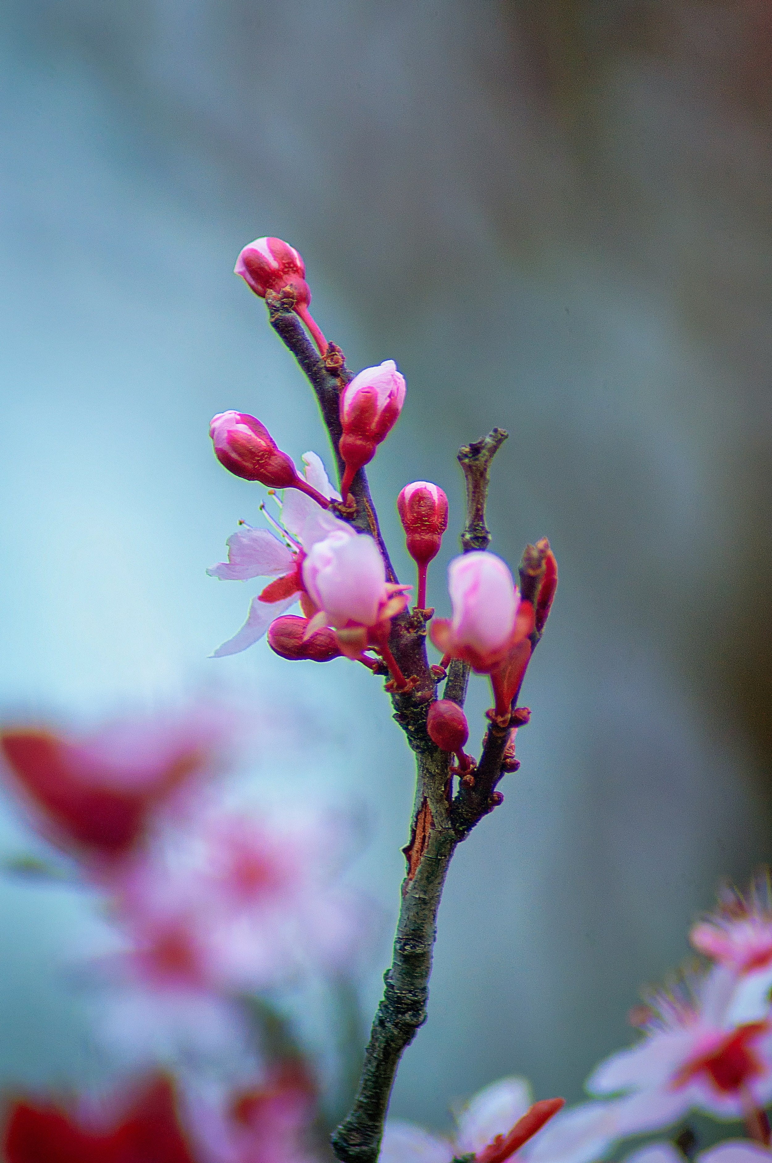 1st April - Coming Alive Again