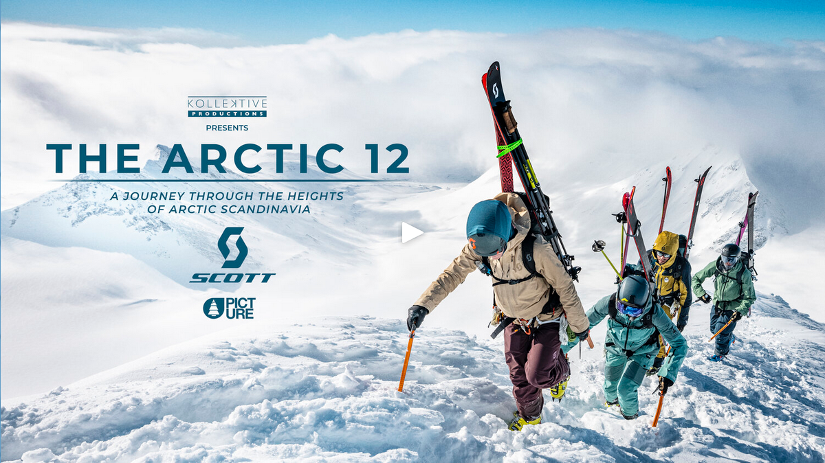 Arctic 12