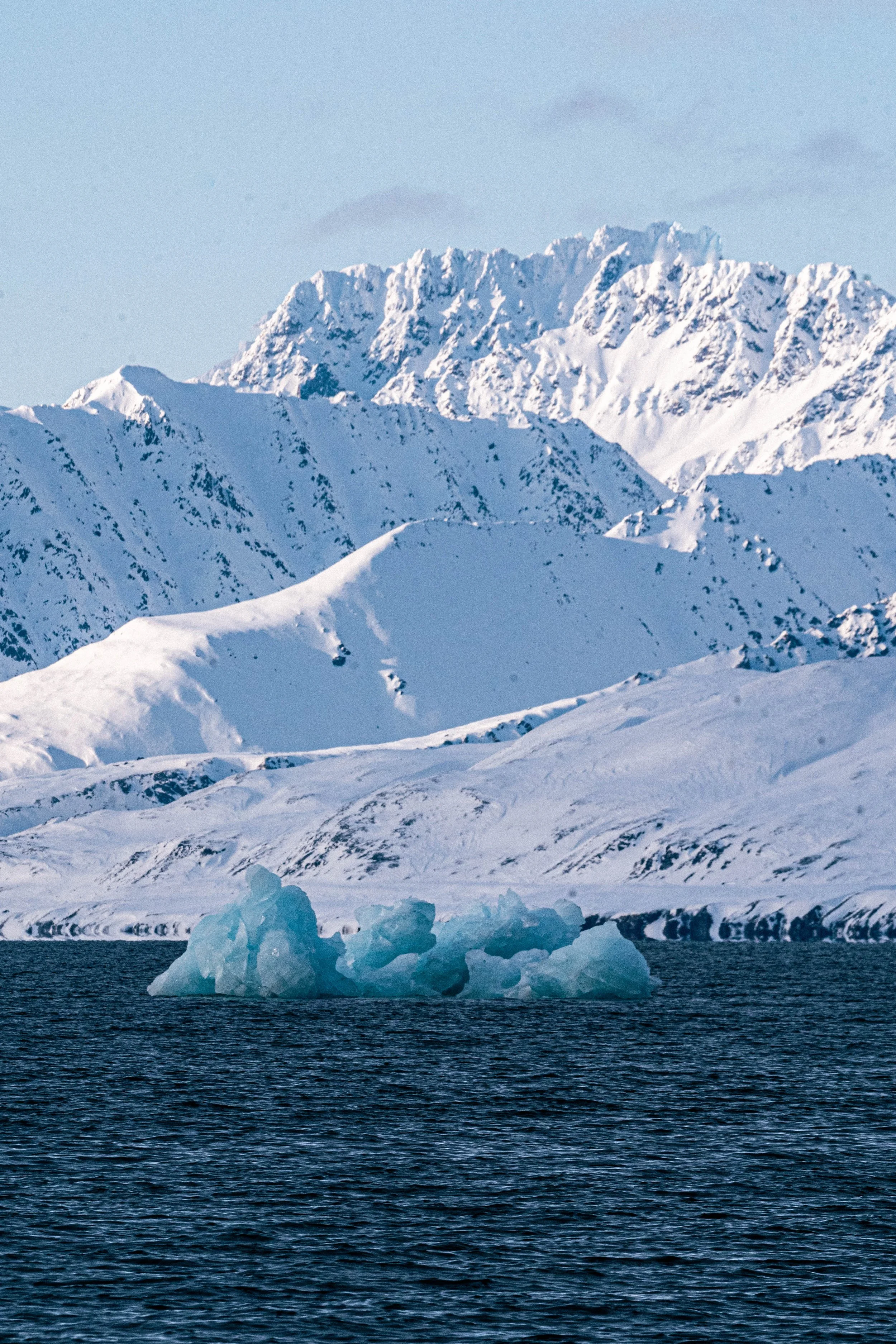 _DSC7872.jpg