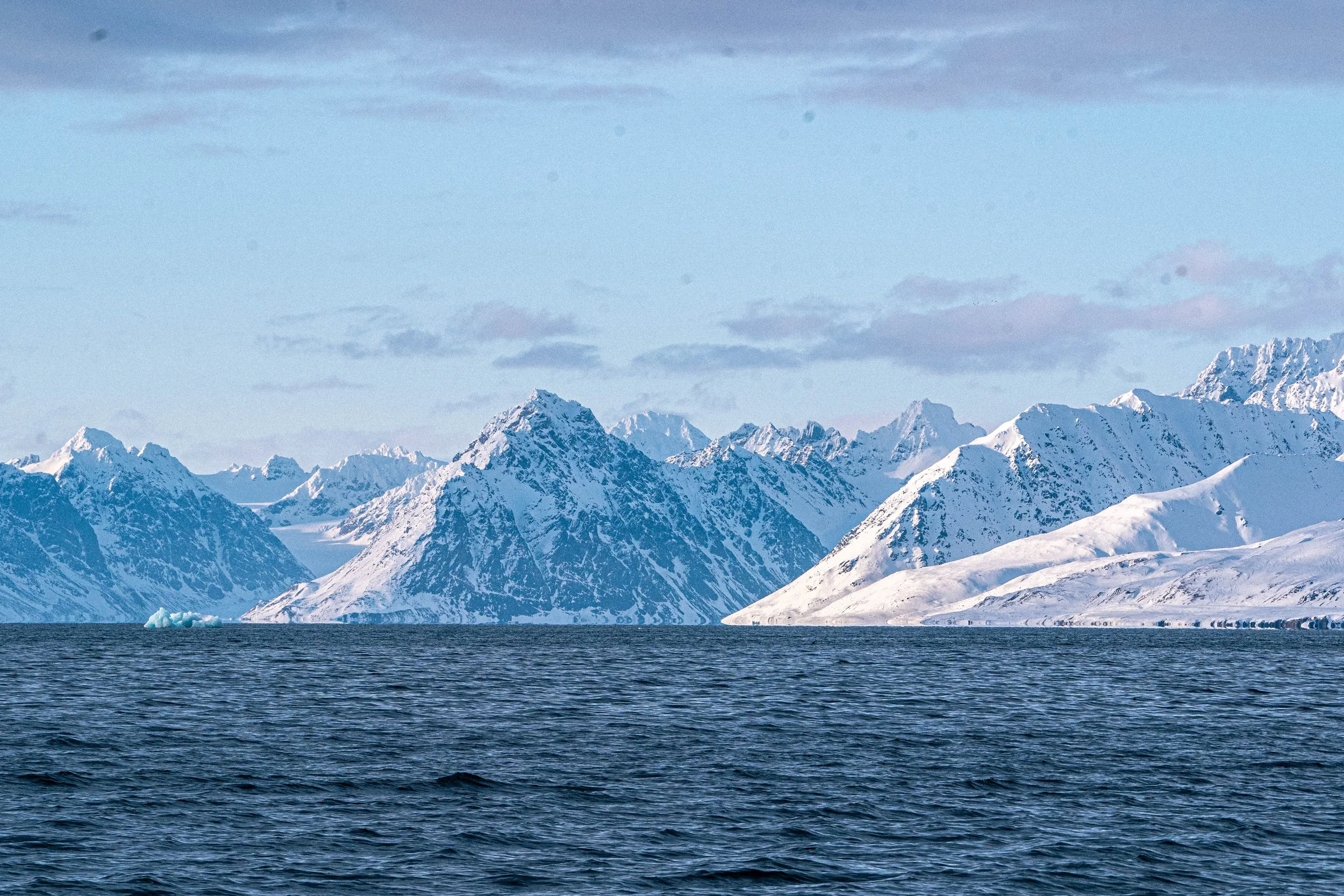 _DSC7854.jpg