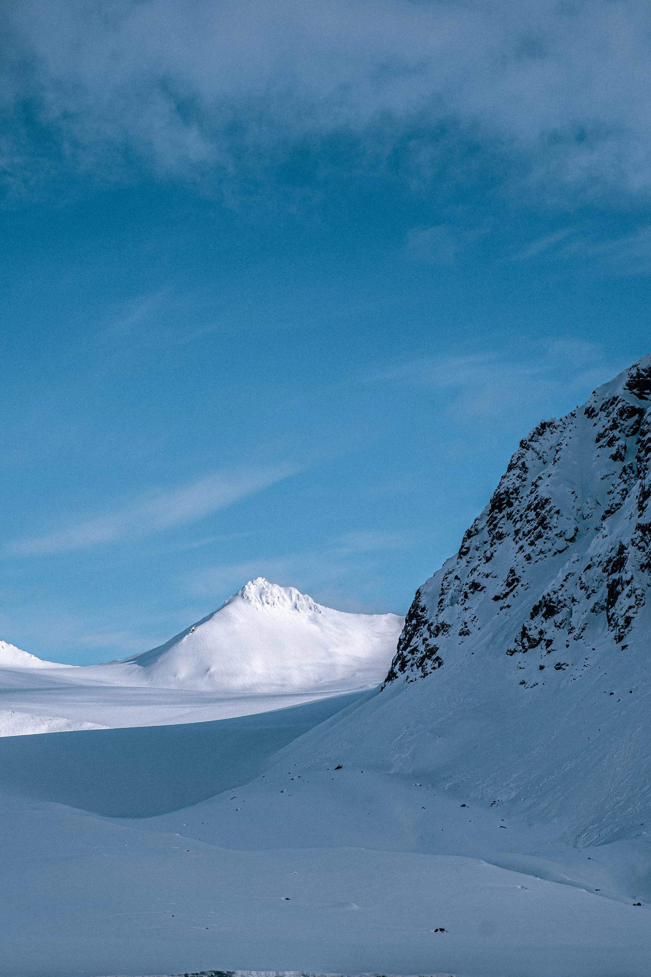 _DSC7435.jpg