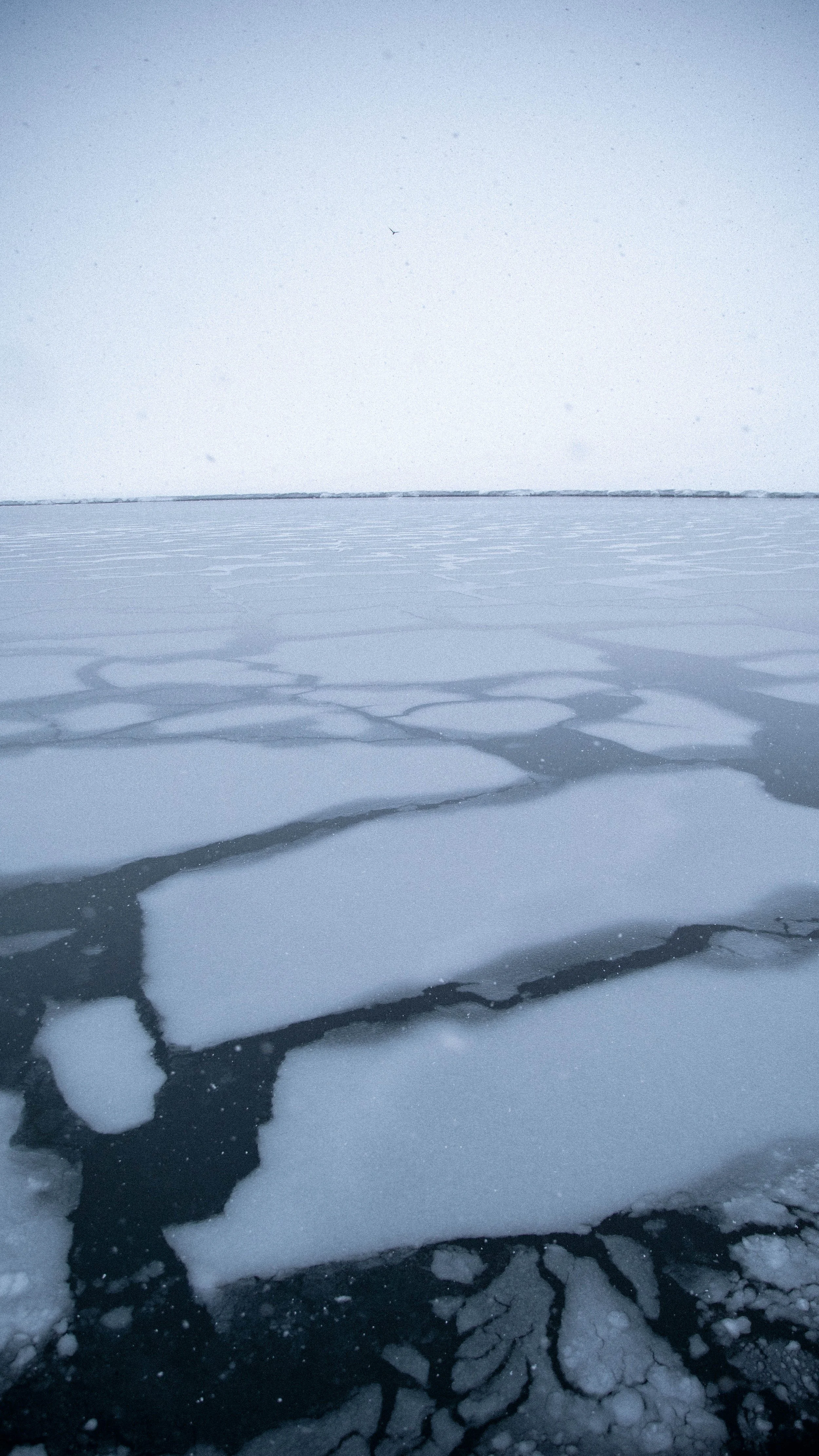 _DSC8483.jpg