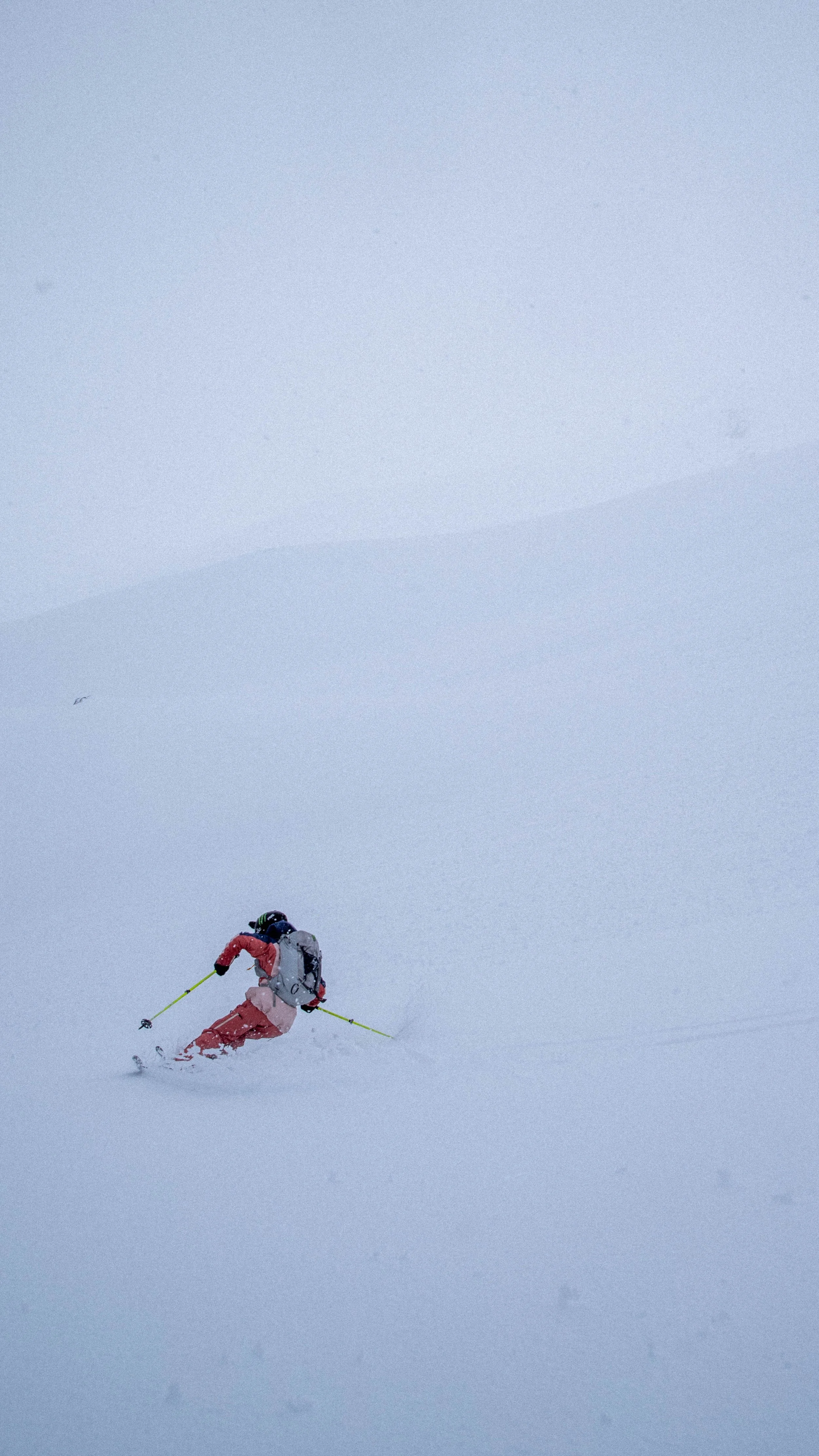 _DSC8553.jpg
