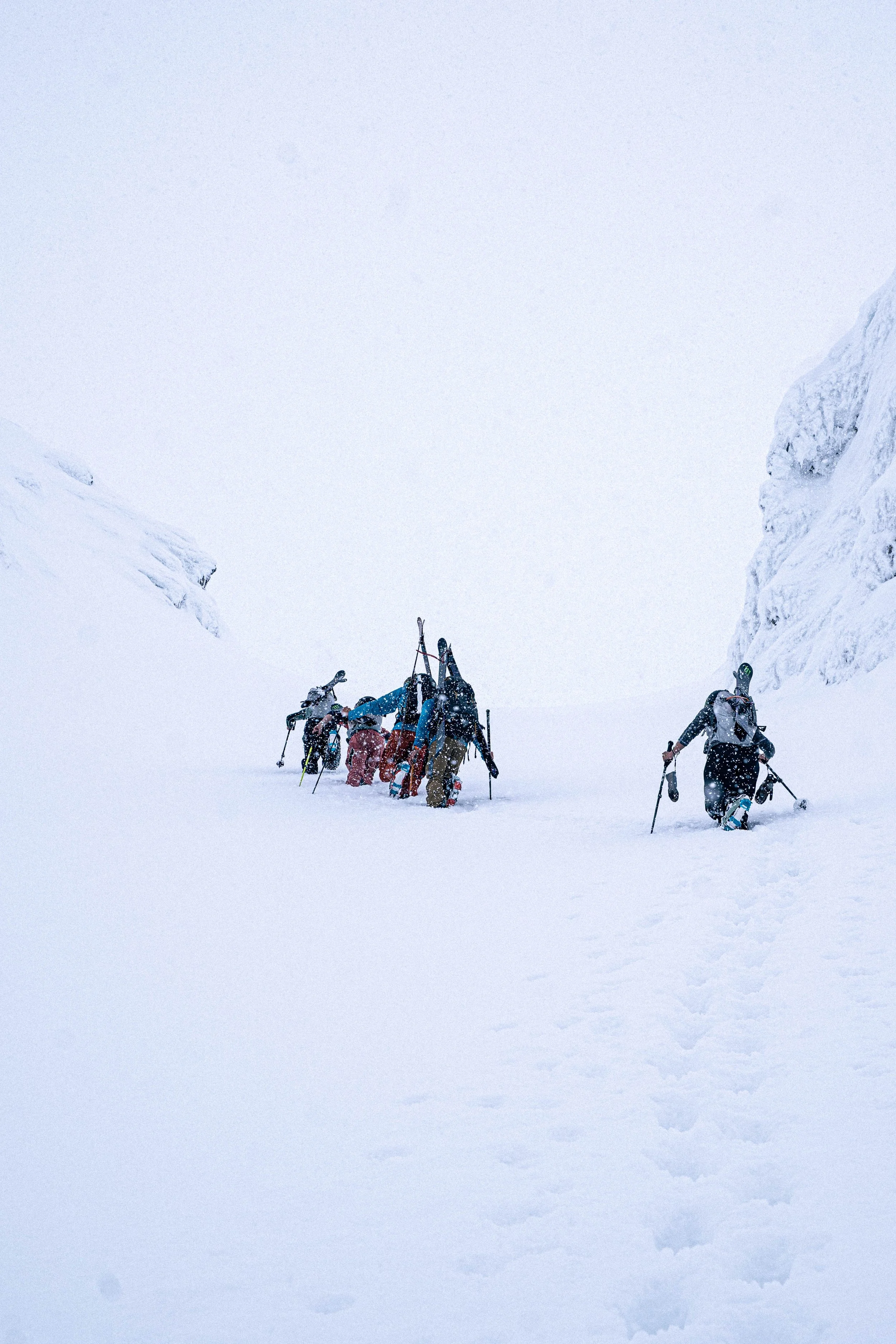 _DSC8103.jpg