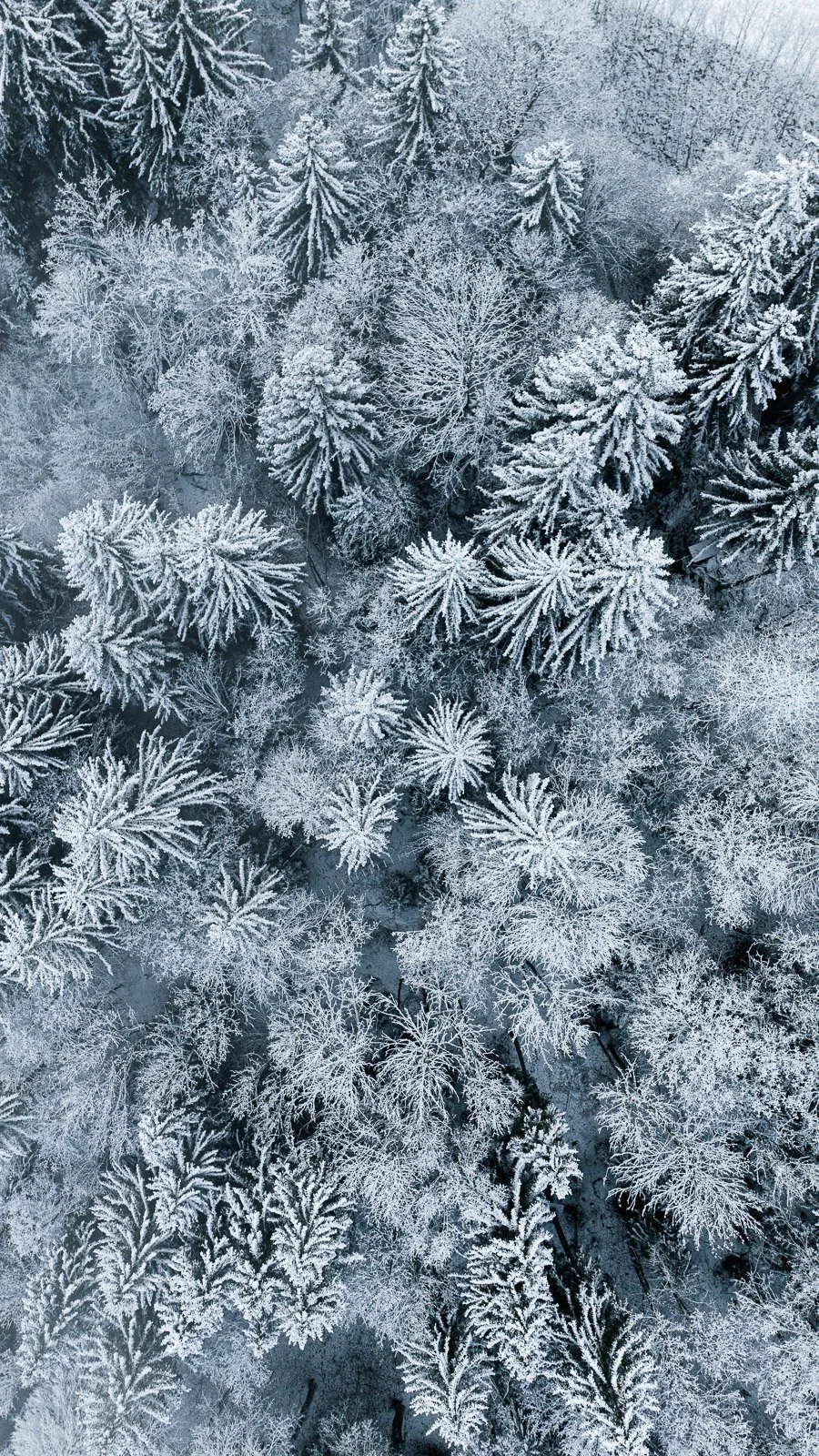 DJI_0476.jpg